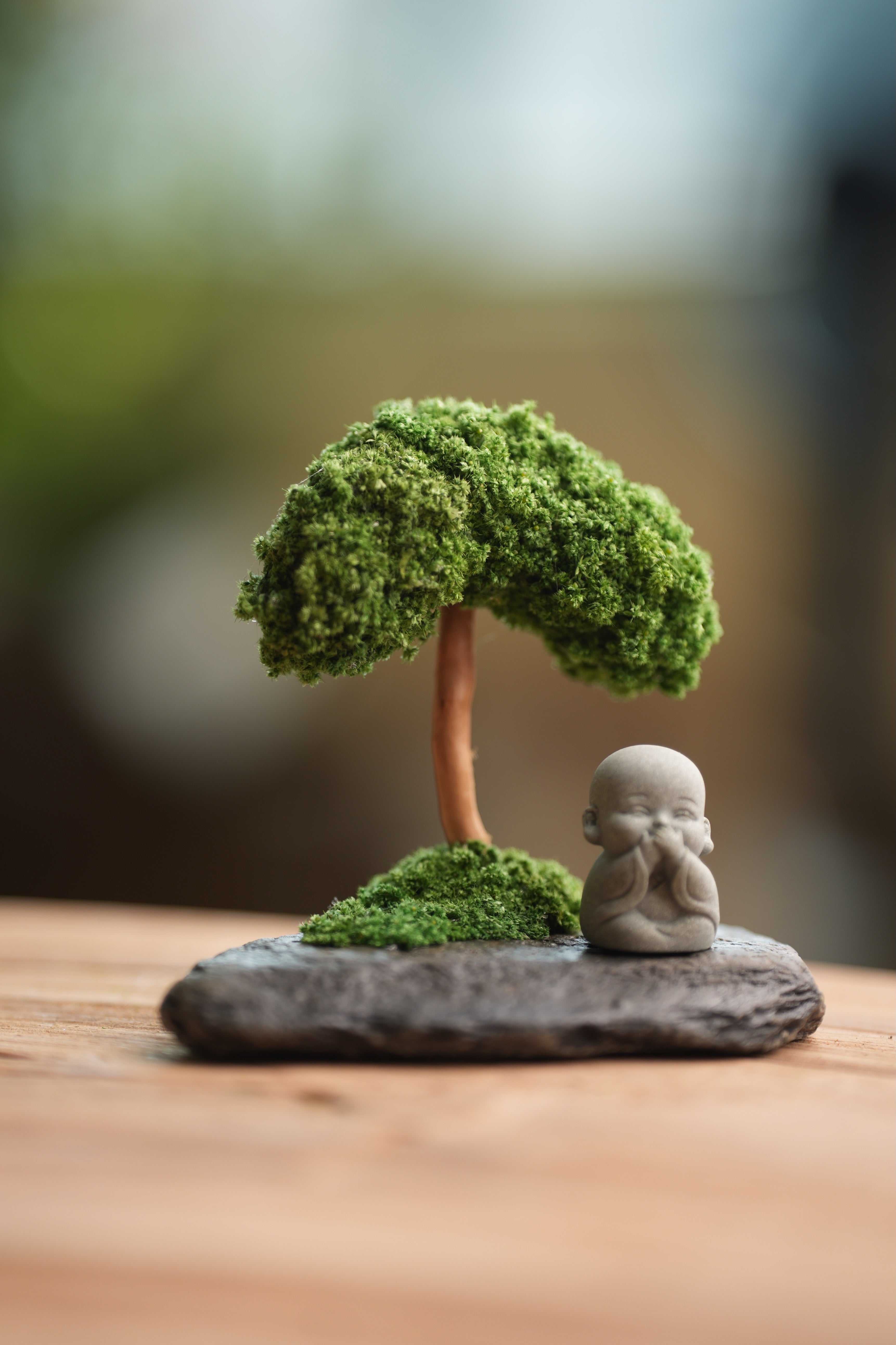 A Small Tree in the East - Classic (Preserved Plants)