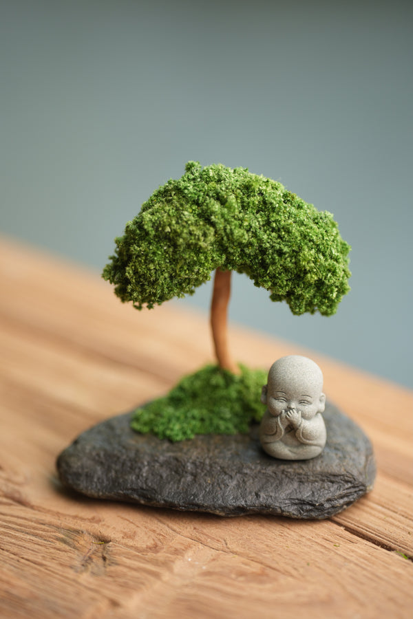 A Small Tree in the East - Classic (Preserved Plants)