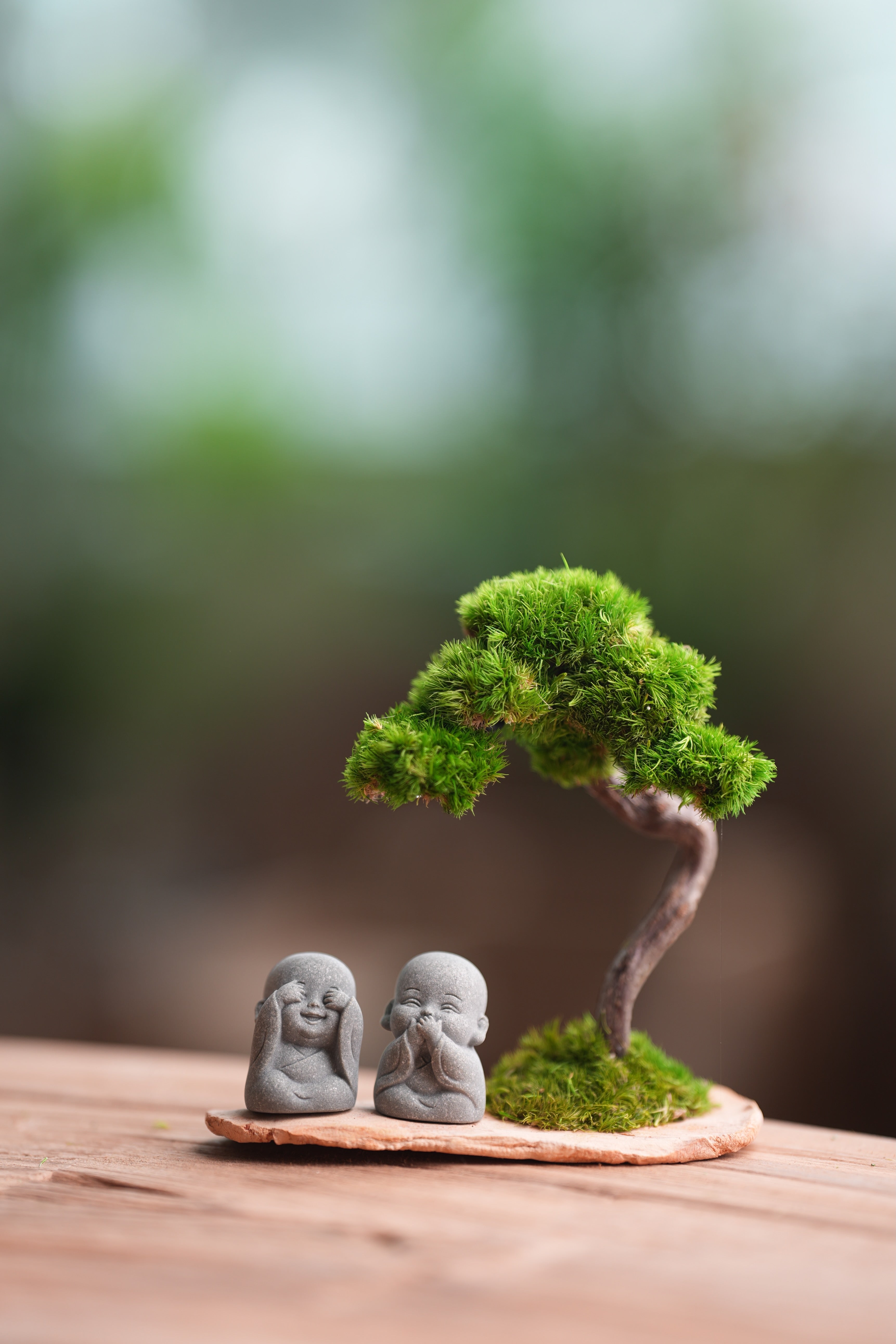 A Small Tree in the East - Classic - Duo of No Evil (Preserved Plants)