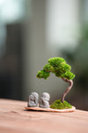 A Small Tree in the East - Classic - Duo of No Evil (Preserved Plants)