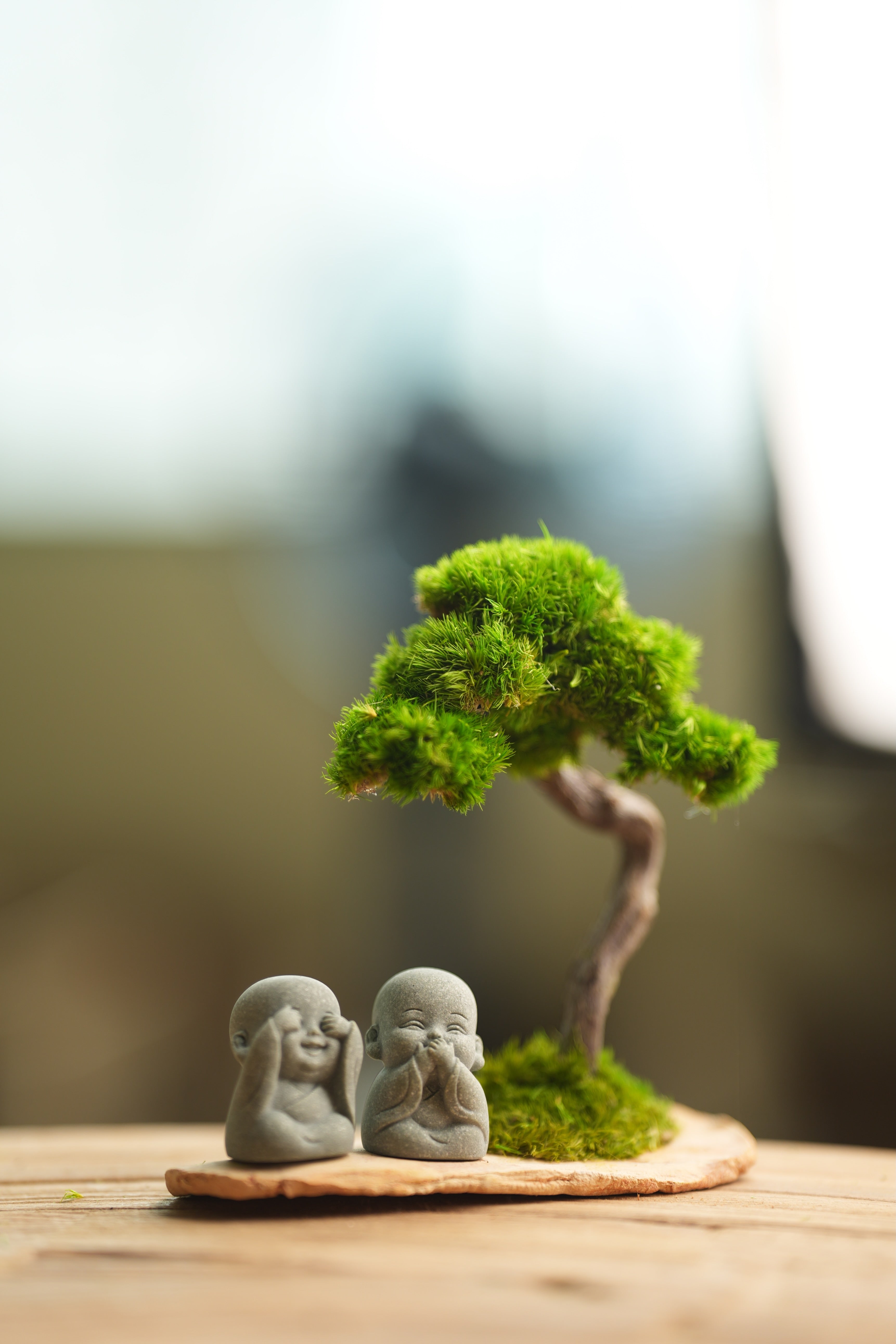 A Small Tree in the East - Classic - Duo of No Evil (Preserved Plants)