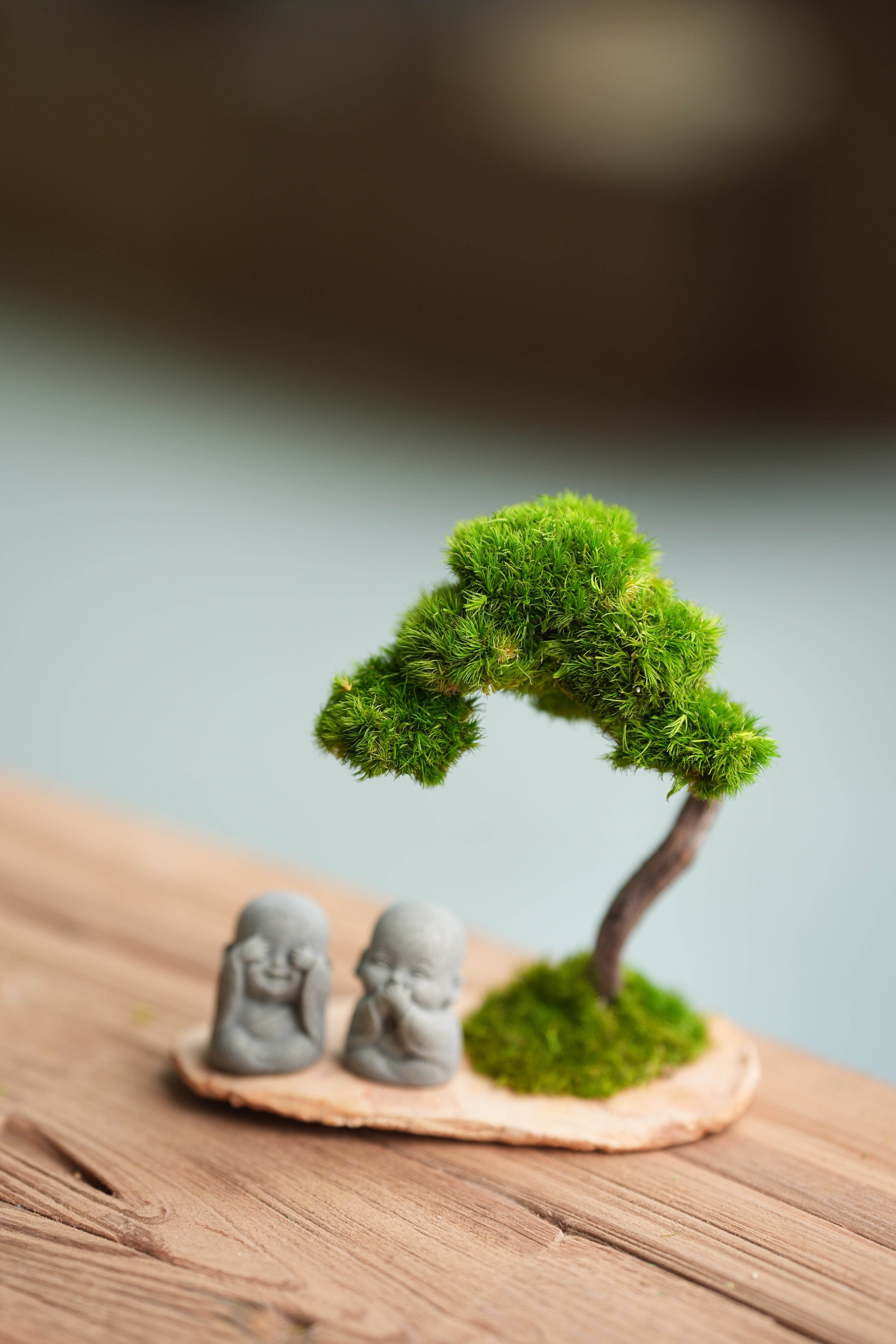 A Small Tree in the East - Classic - Duo of No Evil (Preserved Plants)