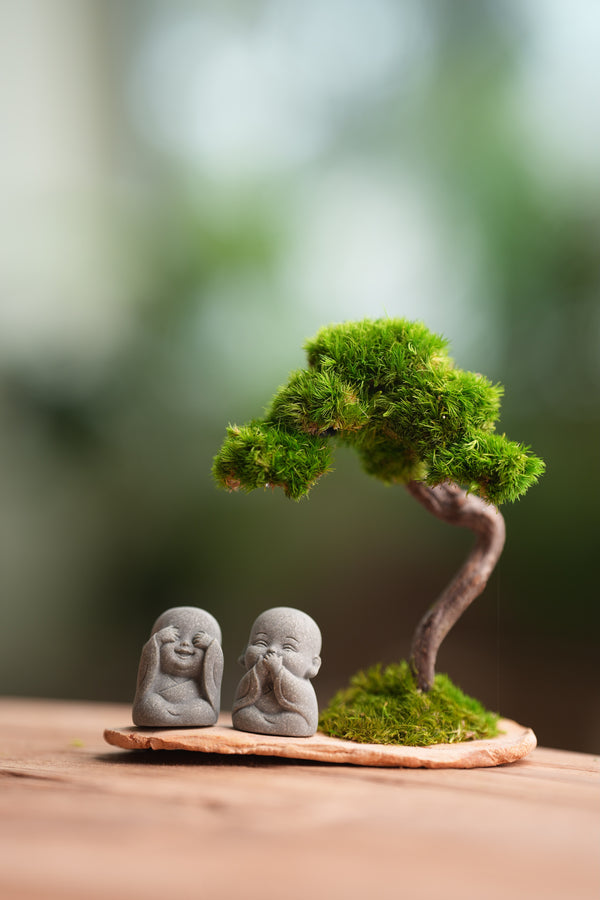 A Small Tree in the East - Classic - Duo of No Evil (Preserved Plants)