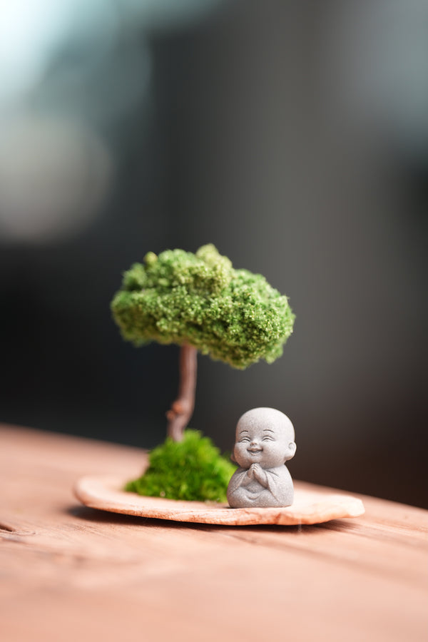 A Small Tree in the East - Classic (Preserved Plants)