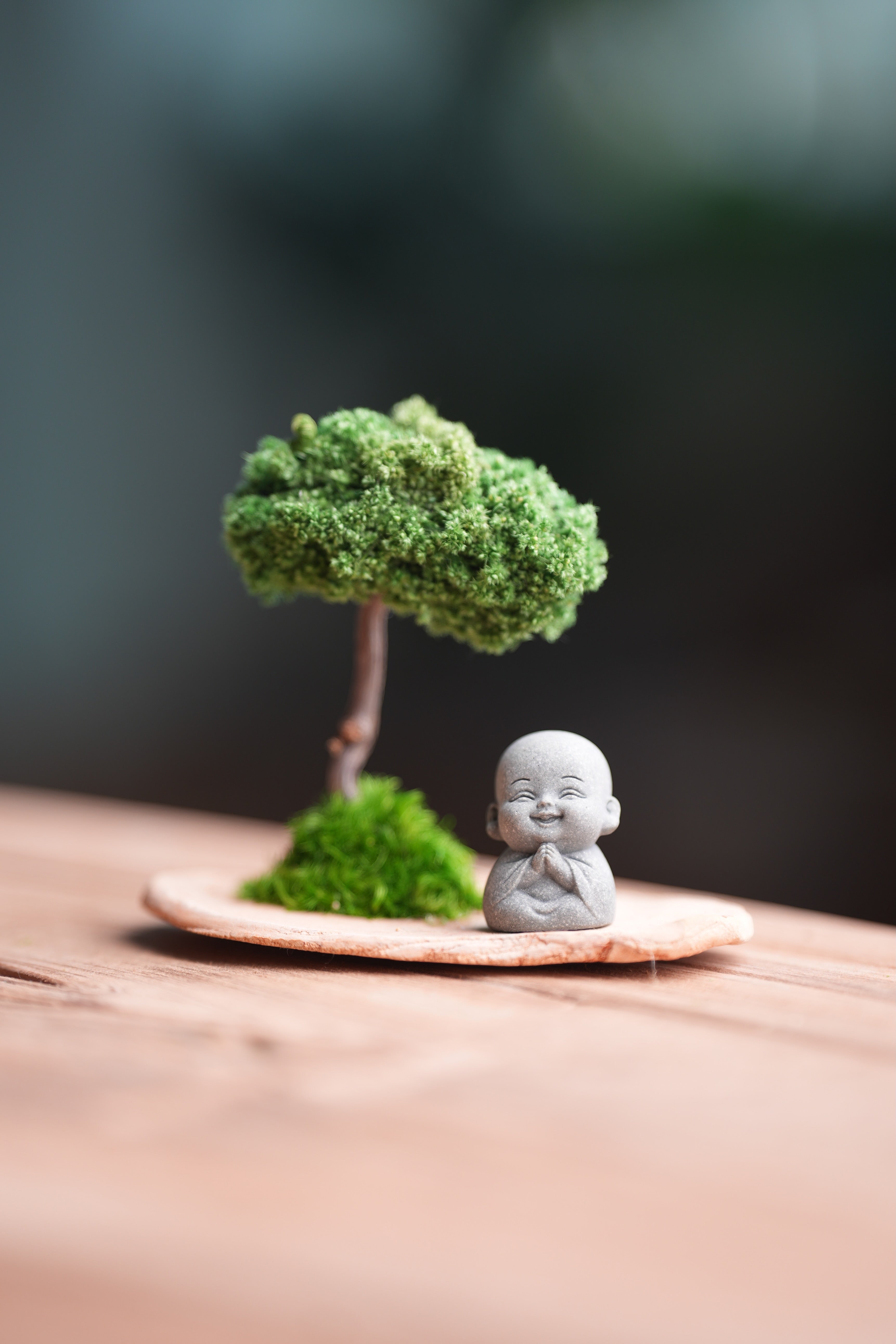 A Small Tree in the East - Classic (Preserved Plants)