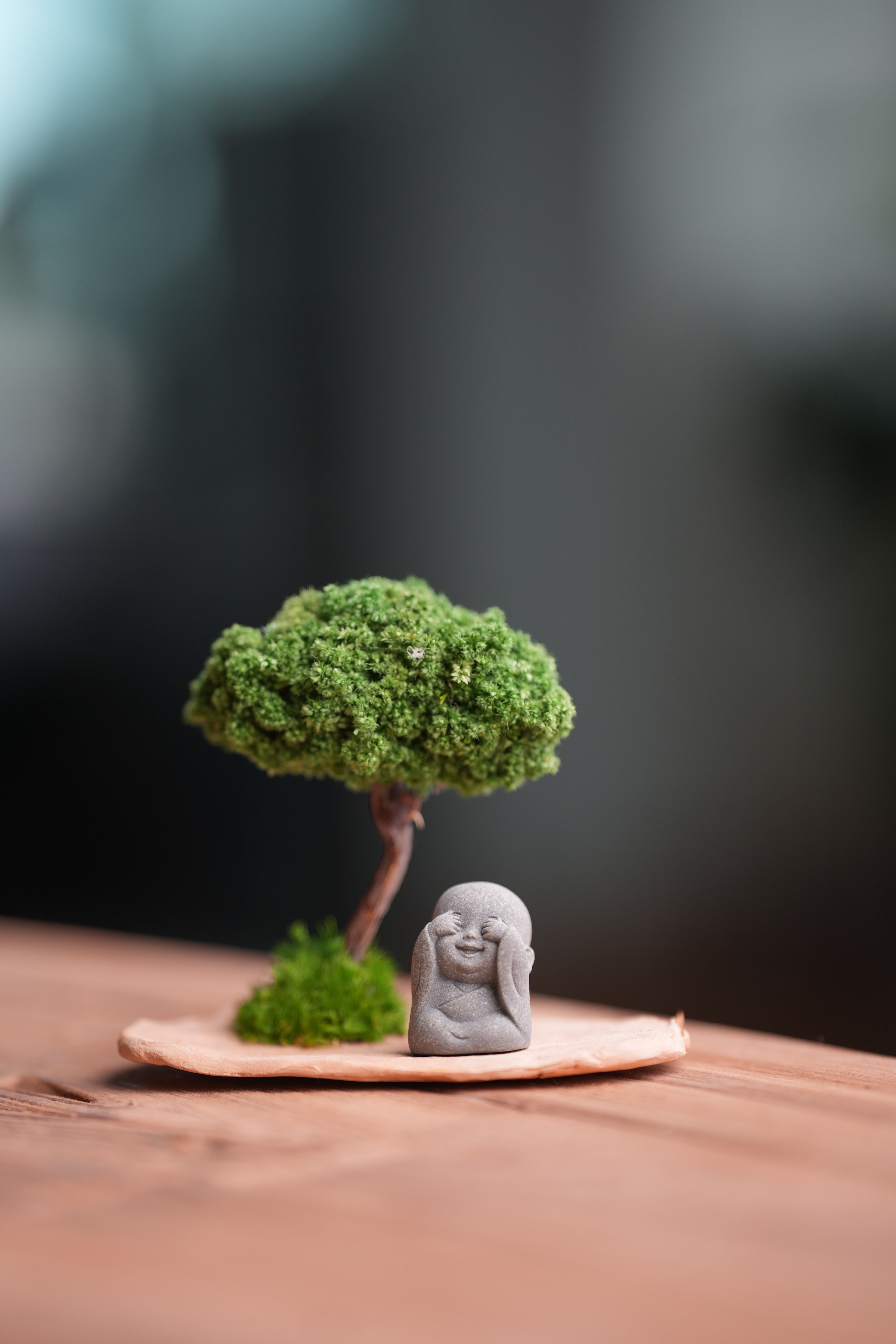 A Small Tree in the East - Classic (Preserved Plants)