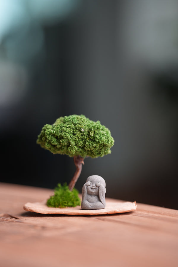 A Small Tree in the East - Classic (Preserved Plants)