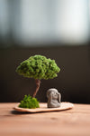 A Small Tree in the East - Classic (Preserved Plants)