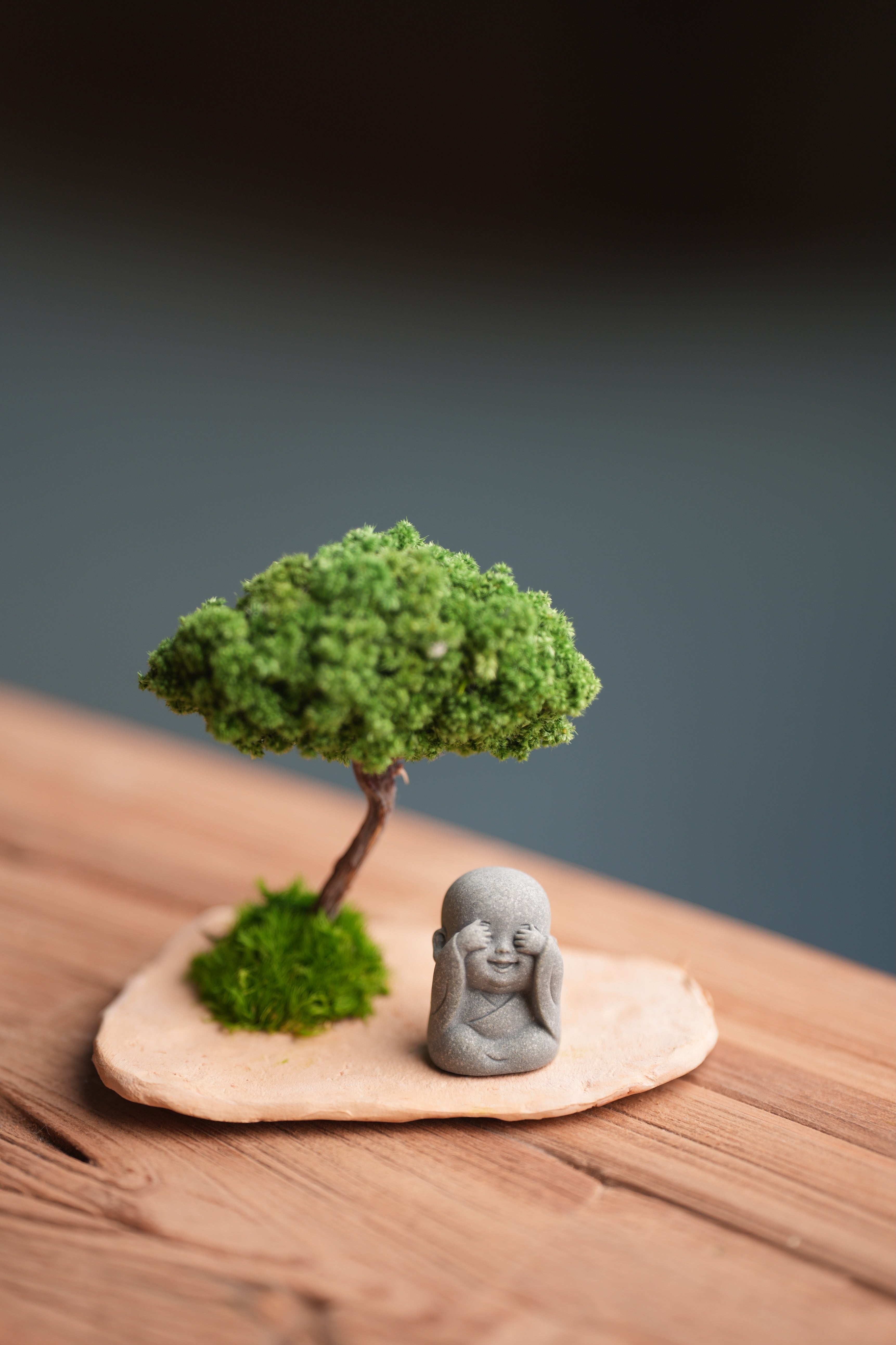 A Small Tree in the East - Classic (Preserved Plants)