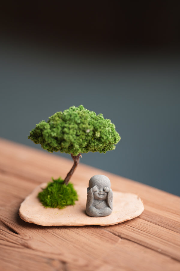 A Small Tree in the East - Classic (Preserved Plants)