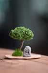 A Small Tree in the East - Classic (Preserved Plants)