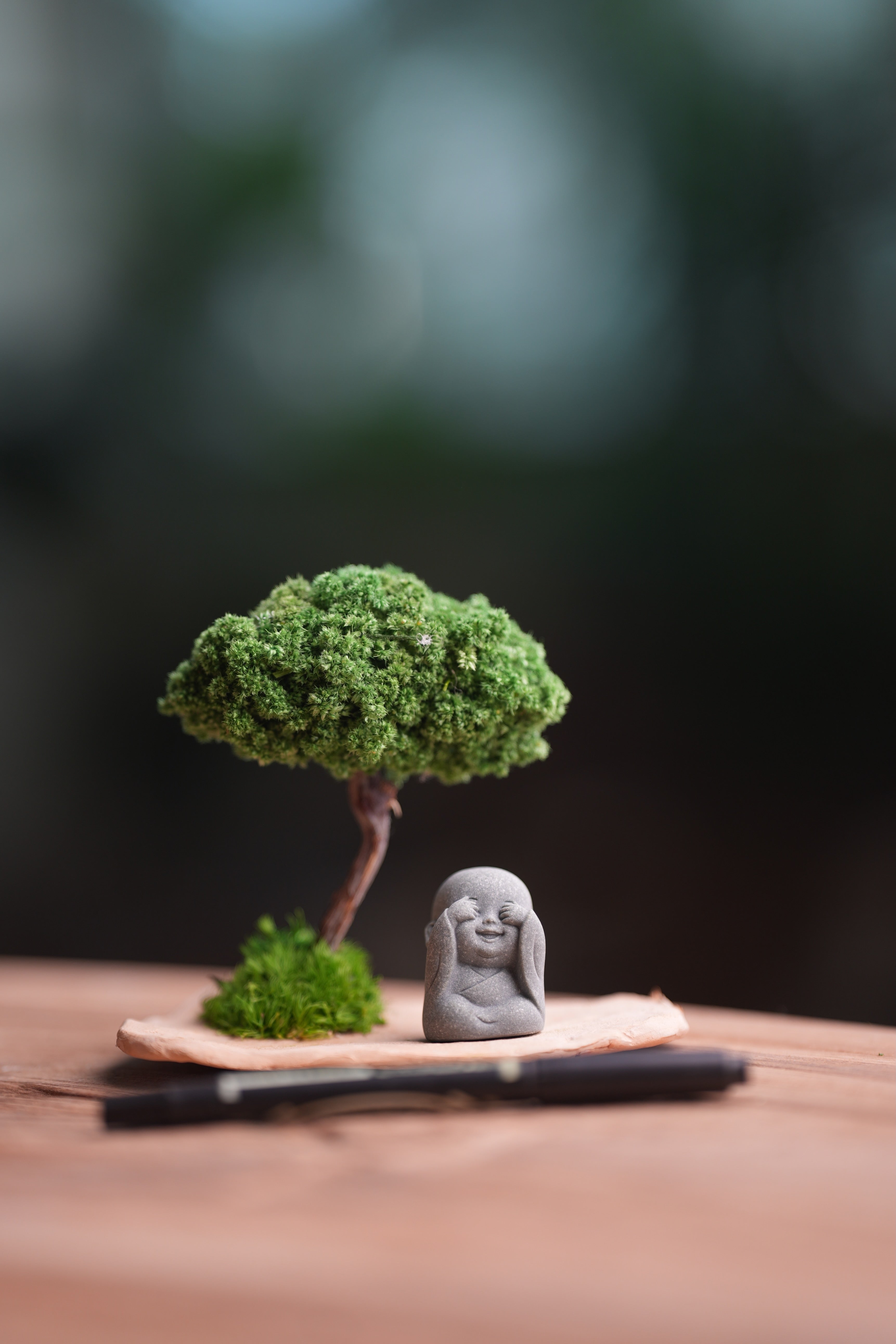 A Small Tree in the East - Classic (Preserved Plants)