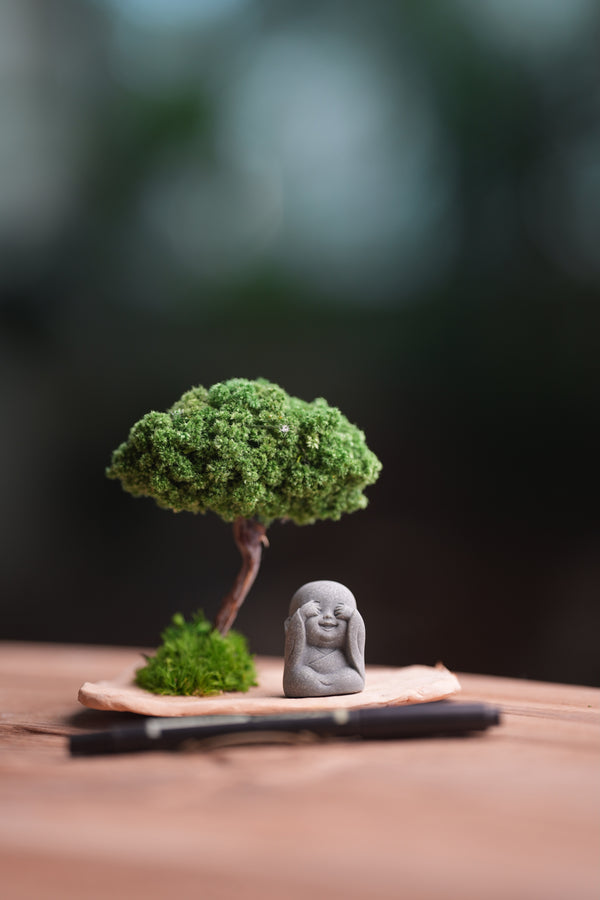 A Small Tree in the East - Classic (Preserved Plants)