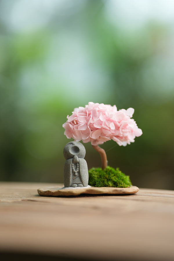 A Small Tree in the East - Sakura - Journeyman (Preserved Plants)