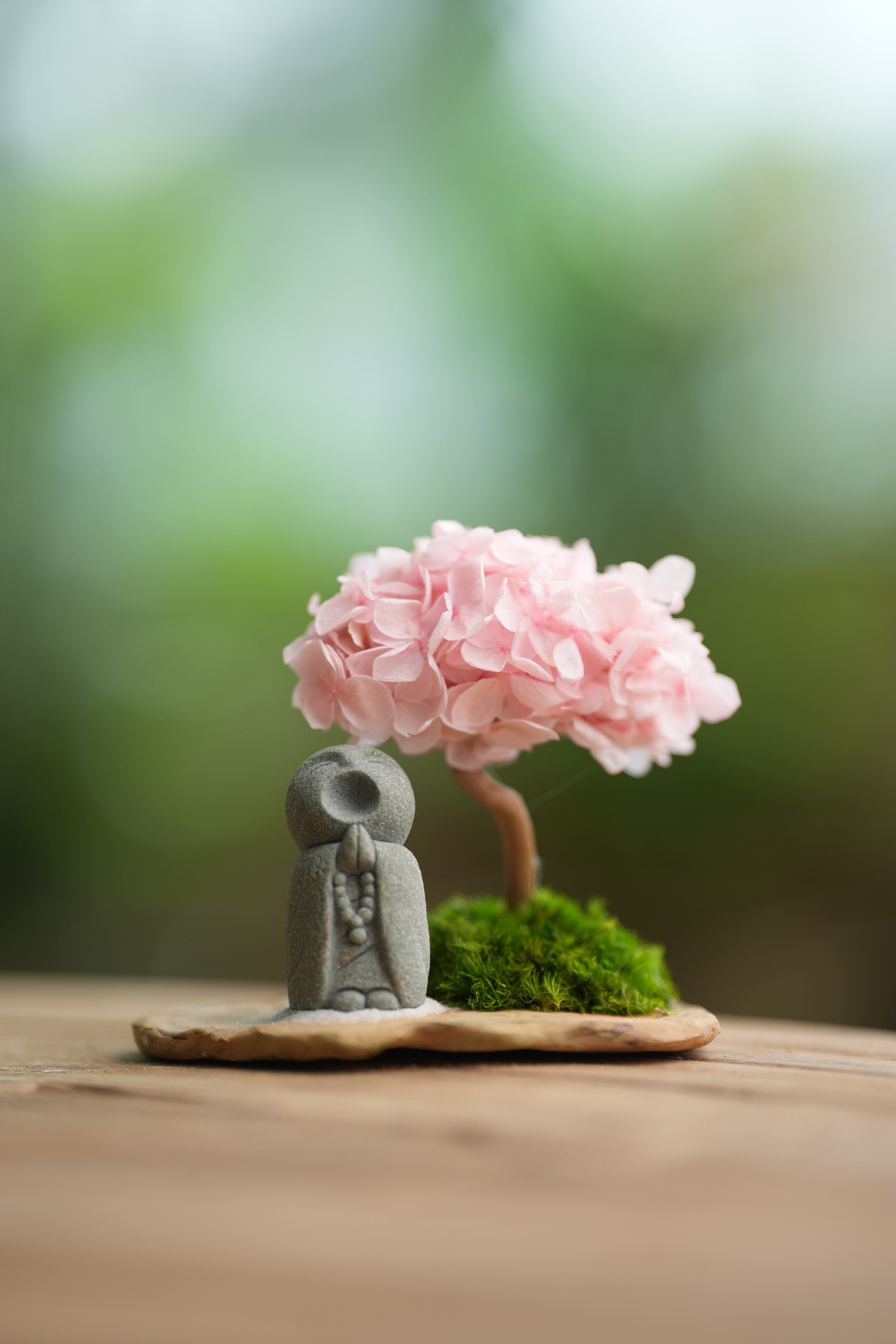 A Small Tree in the East - Sakura - Journeyman (Preserved Plants)