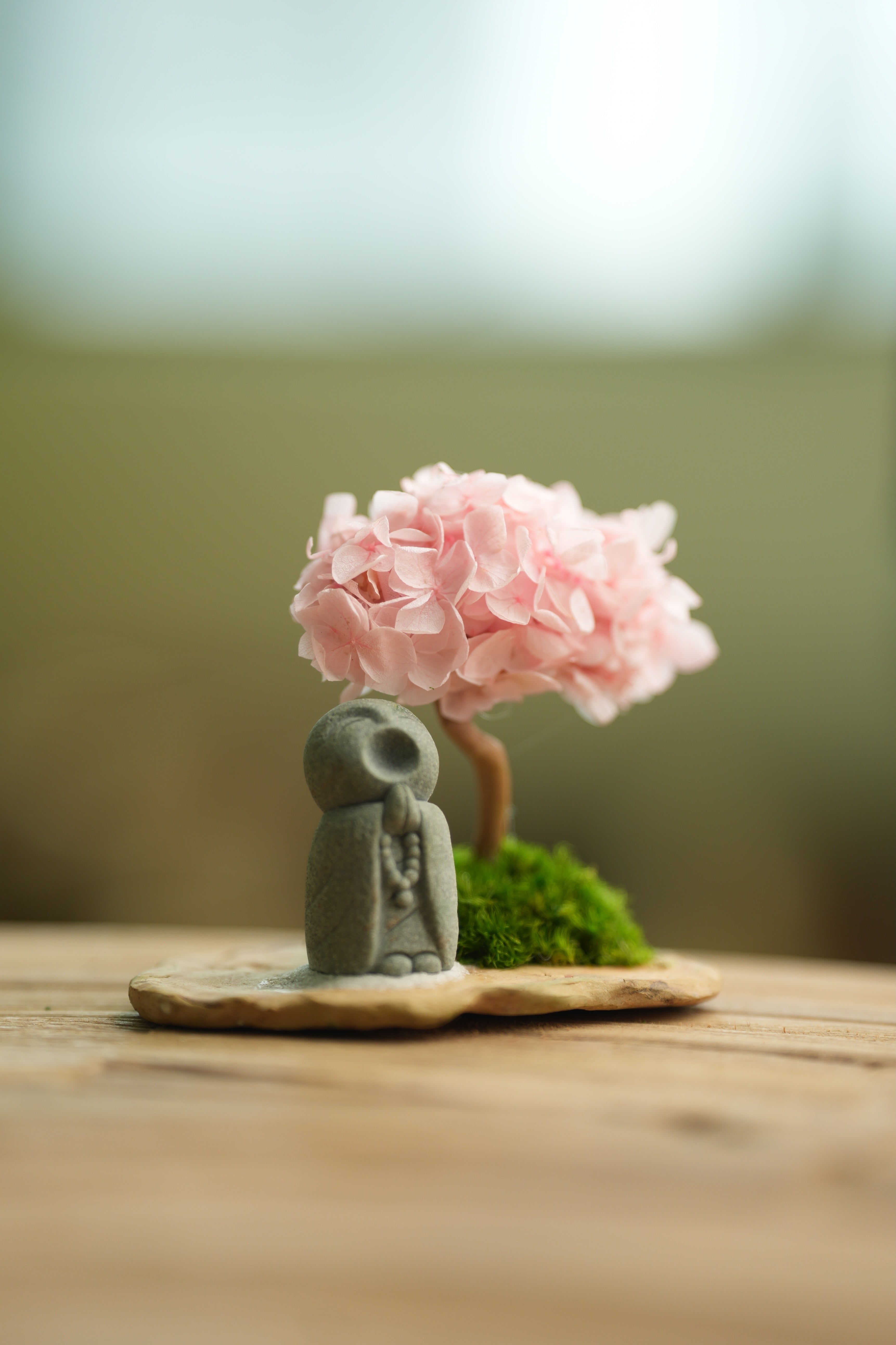 A Small Tree in the East - Sakura - Journeyman (Preserved Plants)