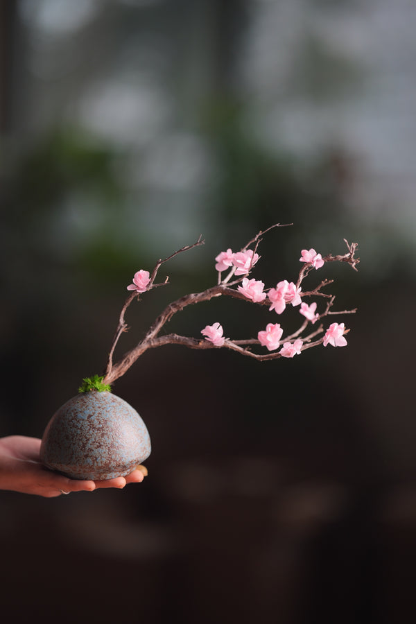 Slow Wood - The Journey (Preserved Plants)