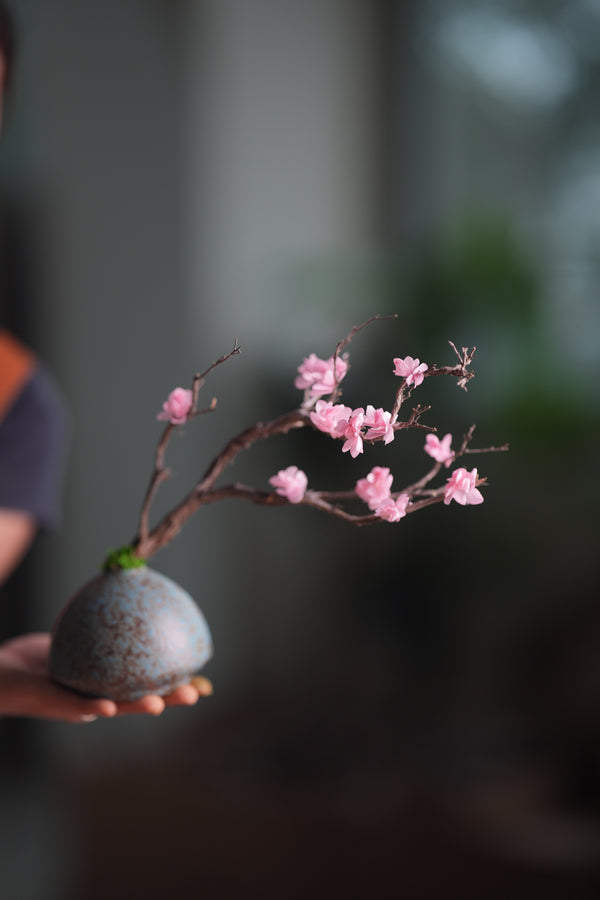 Slow Wood - The Journey (Preserved Plants)