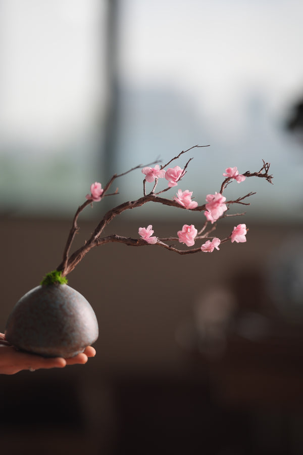 Slow Wood - The Journey (Preserved Plants)