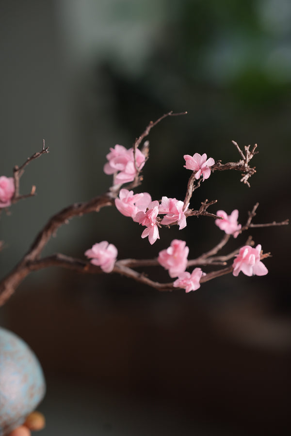 Slow Wood - The Journey (Preserved Plants)