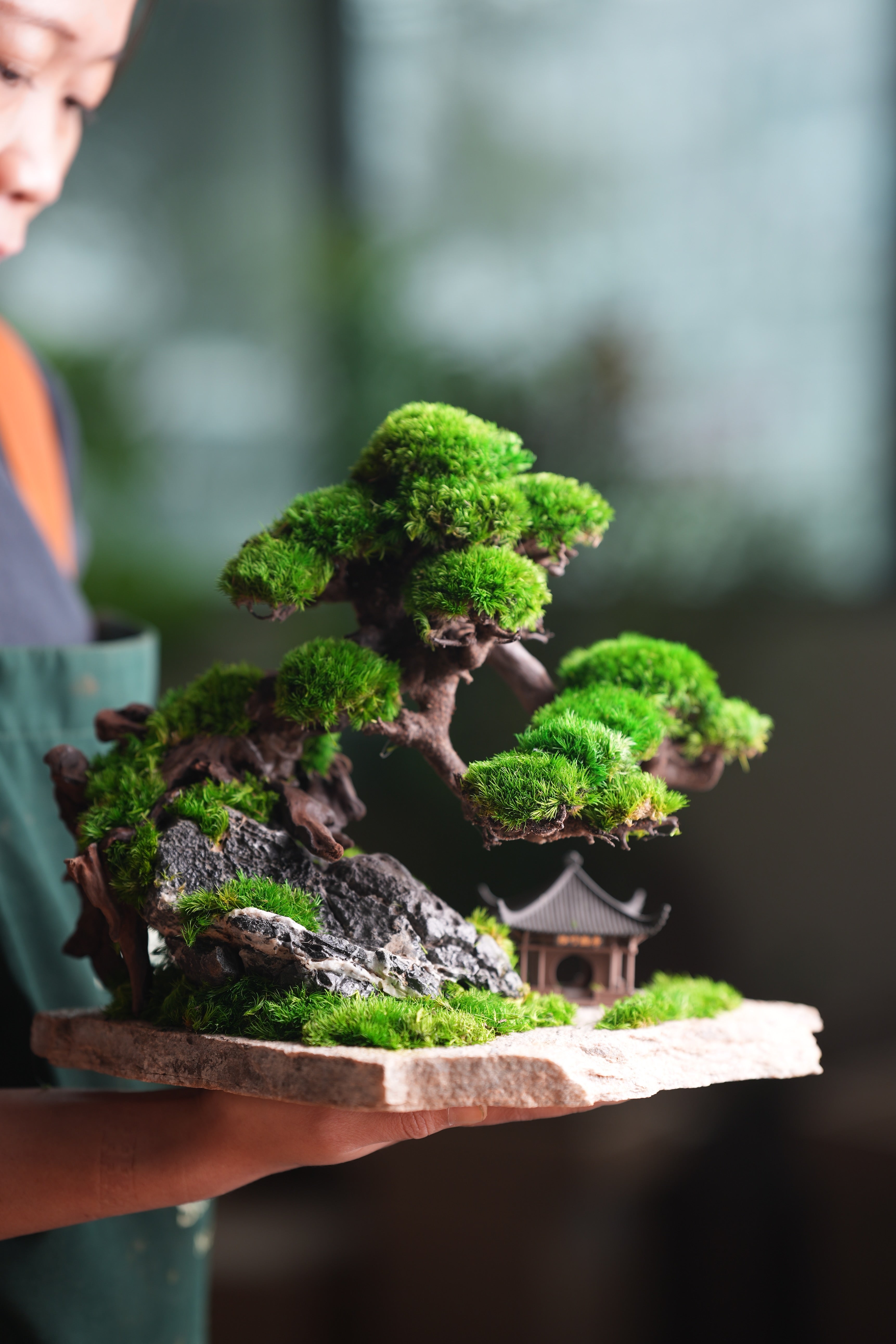 Greenwood - A Path in the East (Preserved Plants)