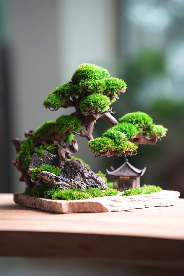 Greenwood - A Path in the East (Preserved Plants)