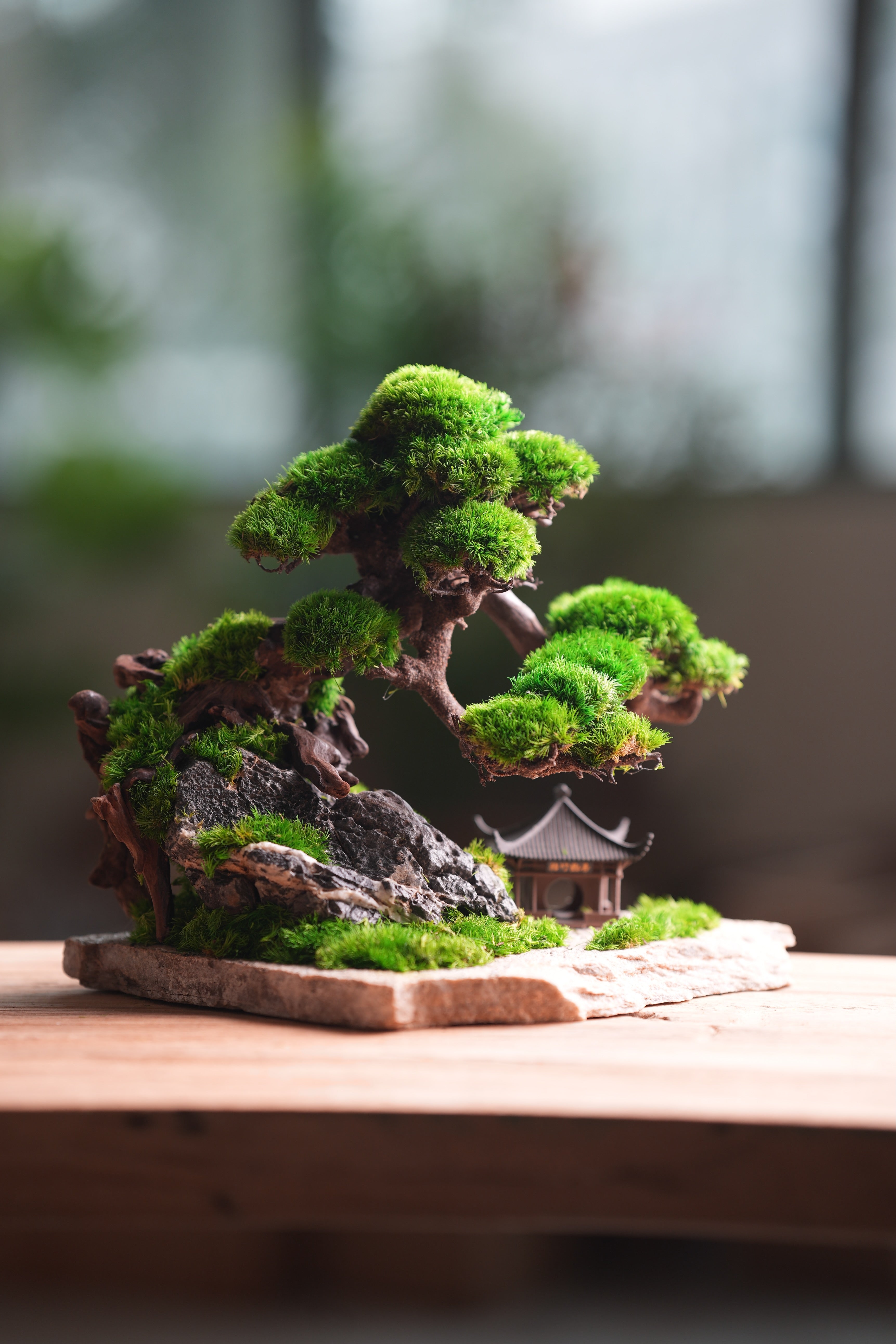 Greenwood - A Path in the East (Preserved Plants)