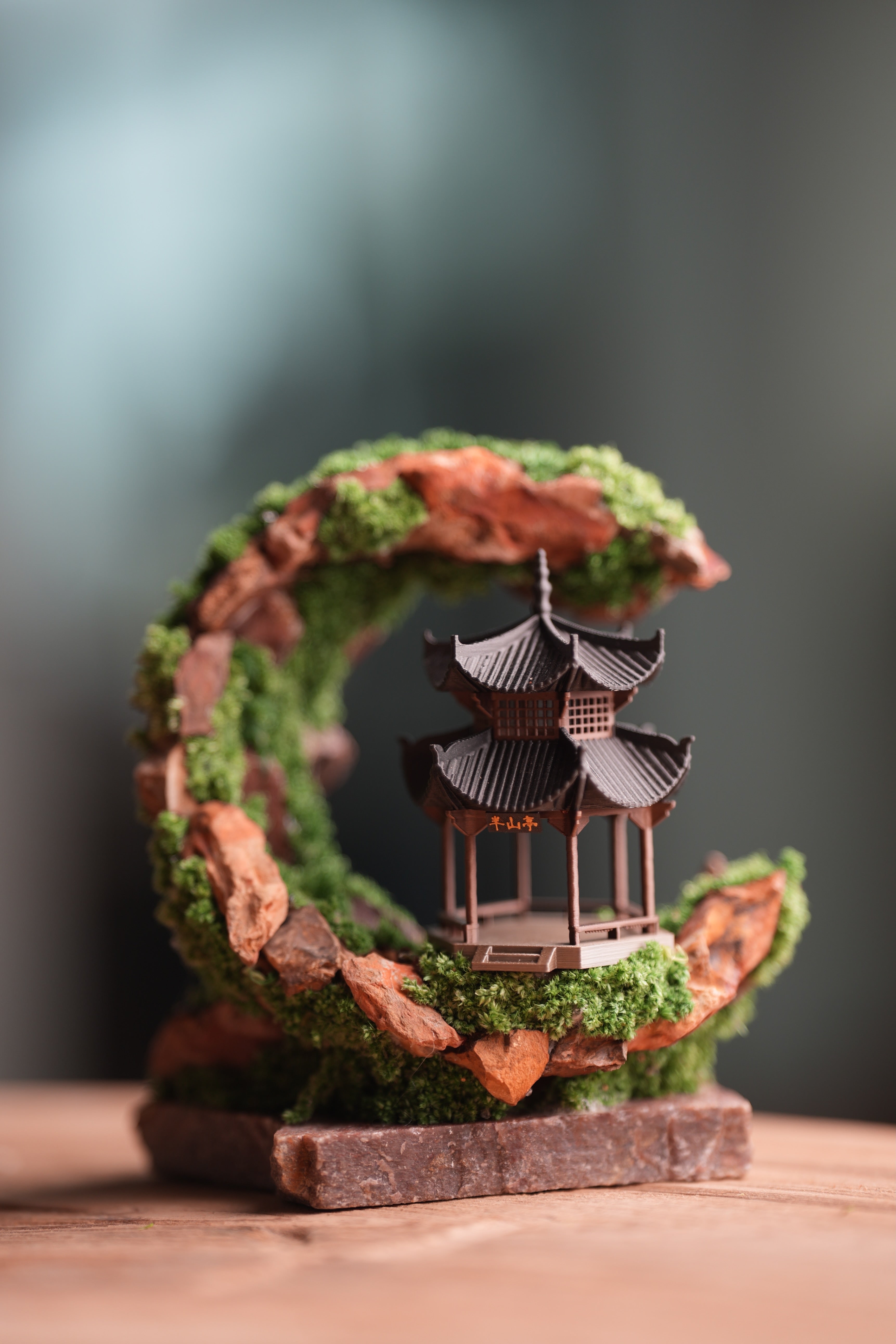 Half-Moon Bay - Crescent - Cultured Garden - Smaller (Preserved Plants)