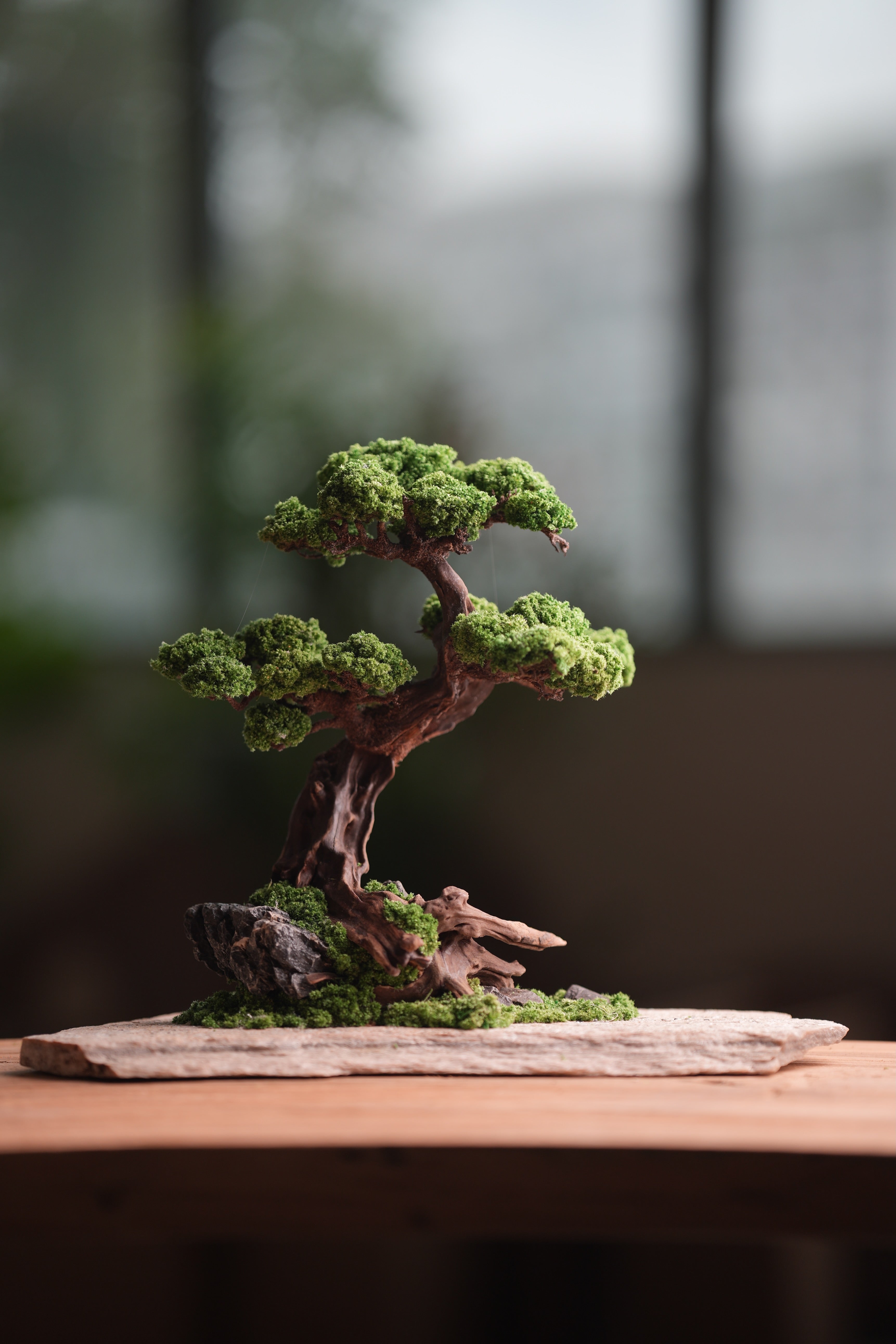 Greenwood - Prince (Preserved Plants)