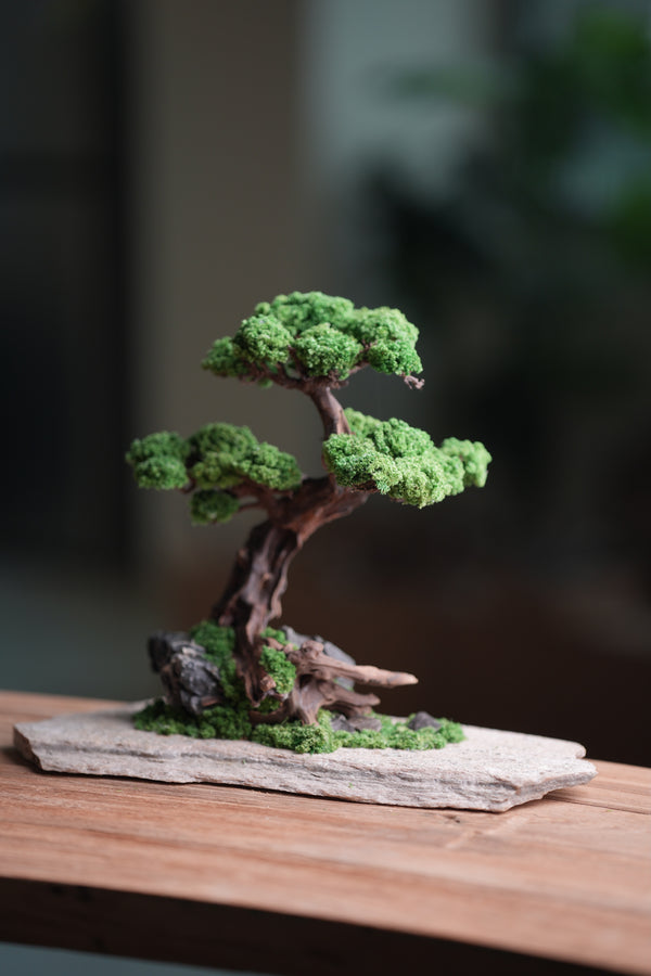 Greenwood - Prince (Preserved Plants)