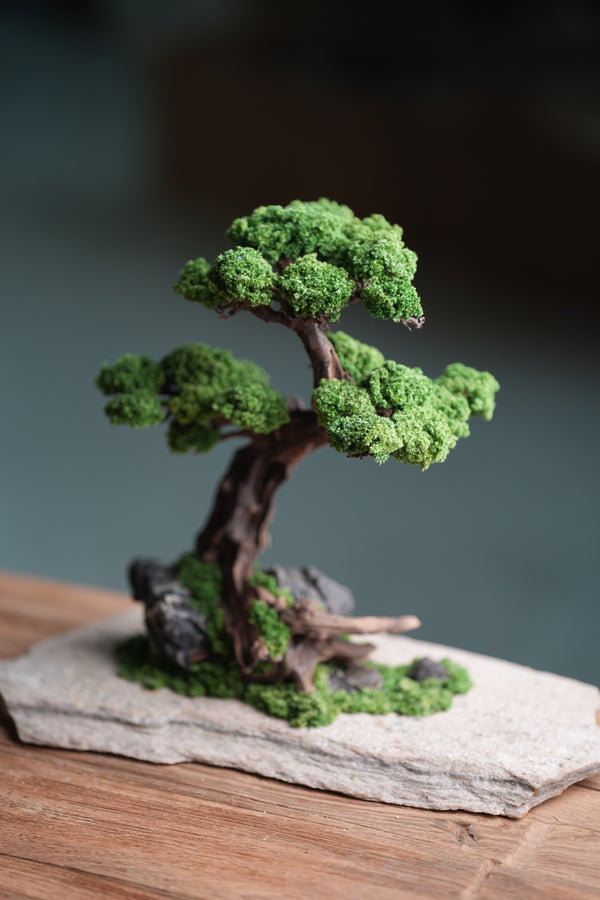 Greenwood - Prince (Preserved Plants)