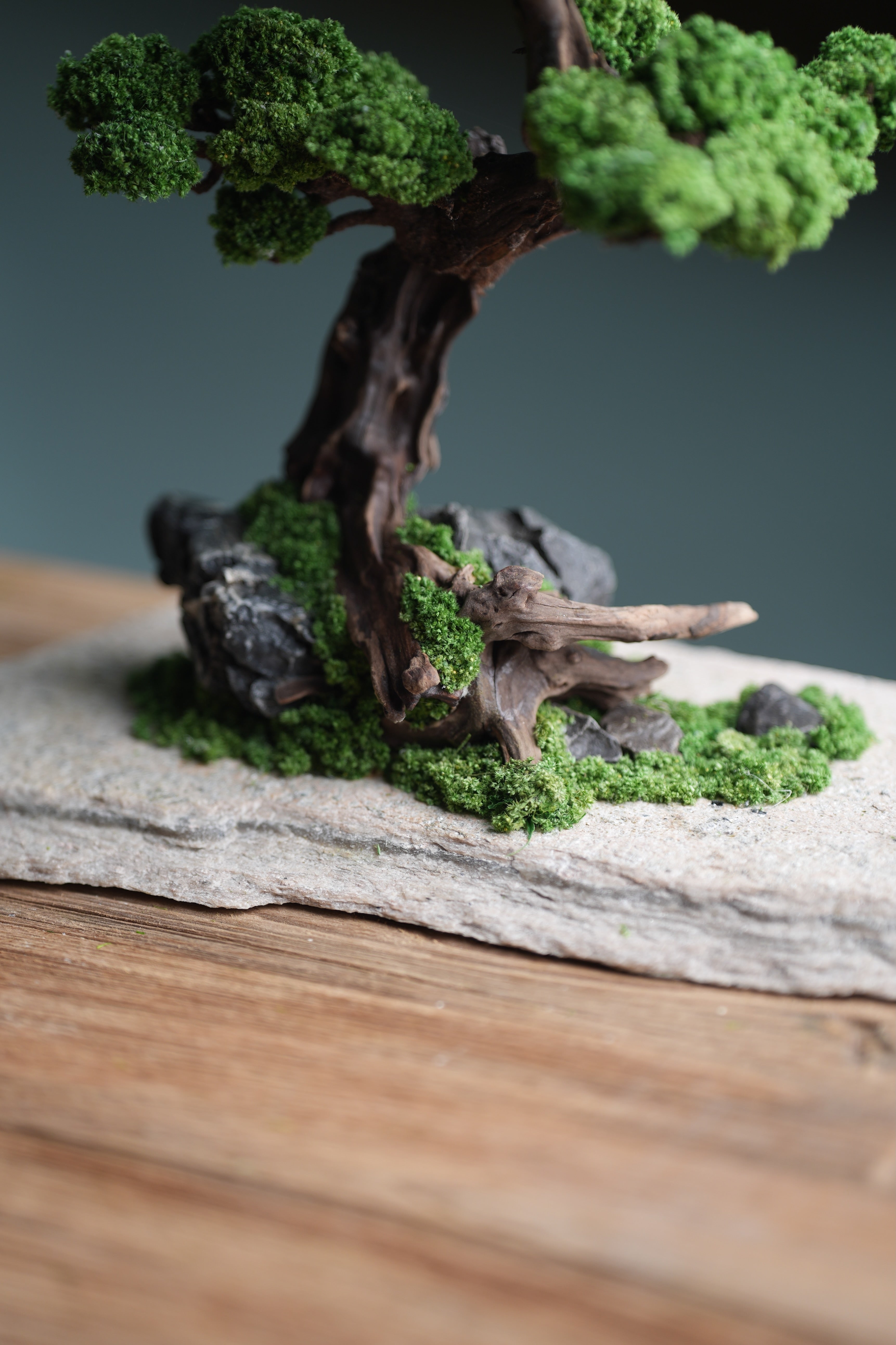 Greenwood - Prince (Preserved Plants)