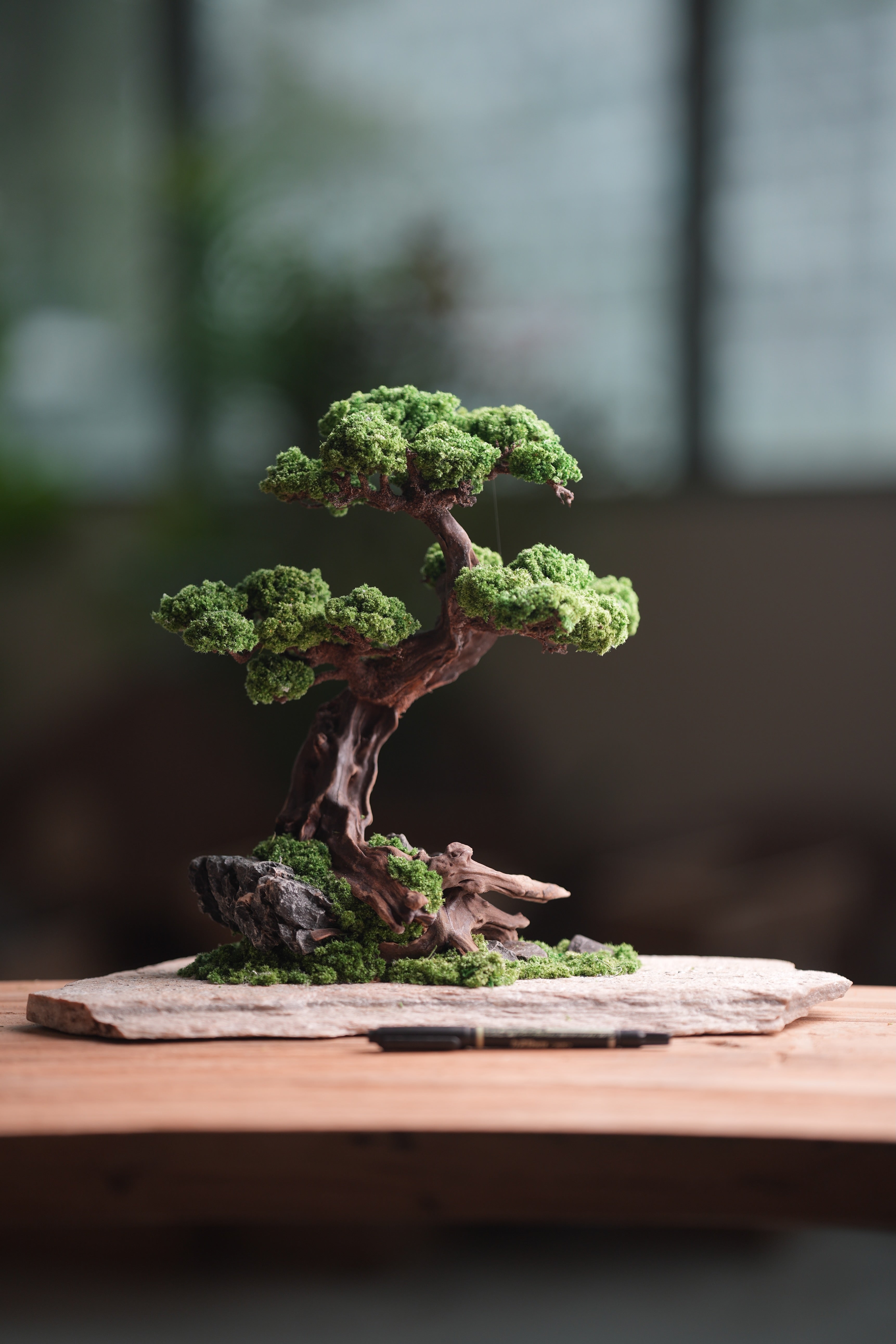 Greenwood - Prince (Preserved Plants)