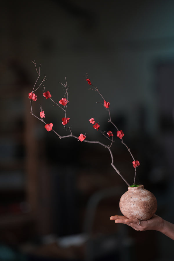 Slow Wood - The Journey (Preserved Plants)