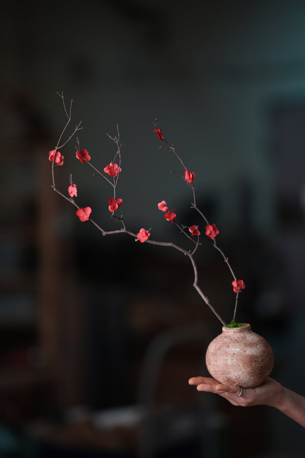 Slow Wood - The Journey (Preserved Plants)