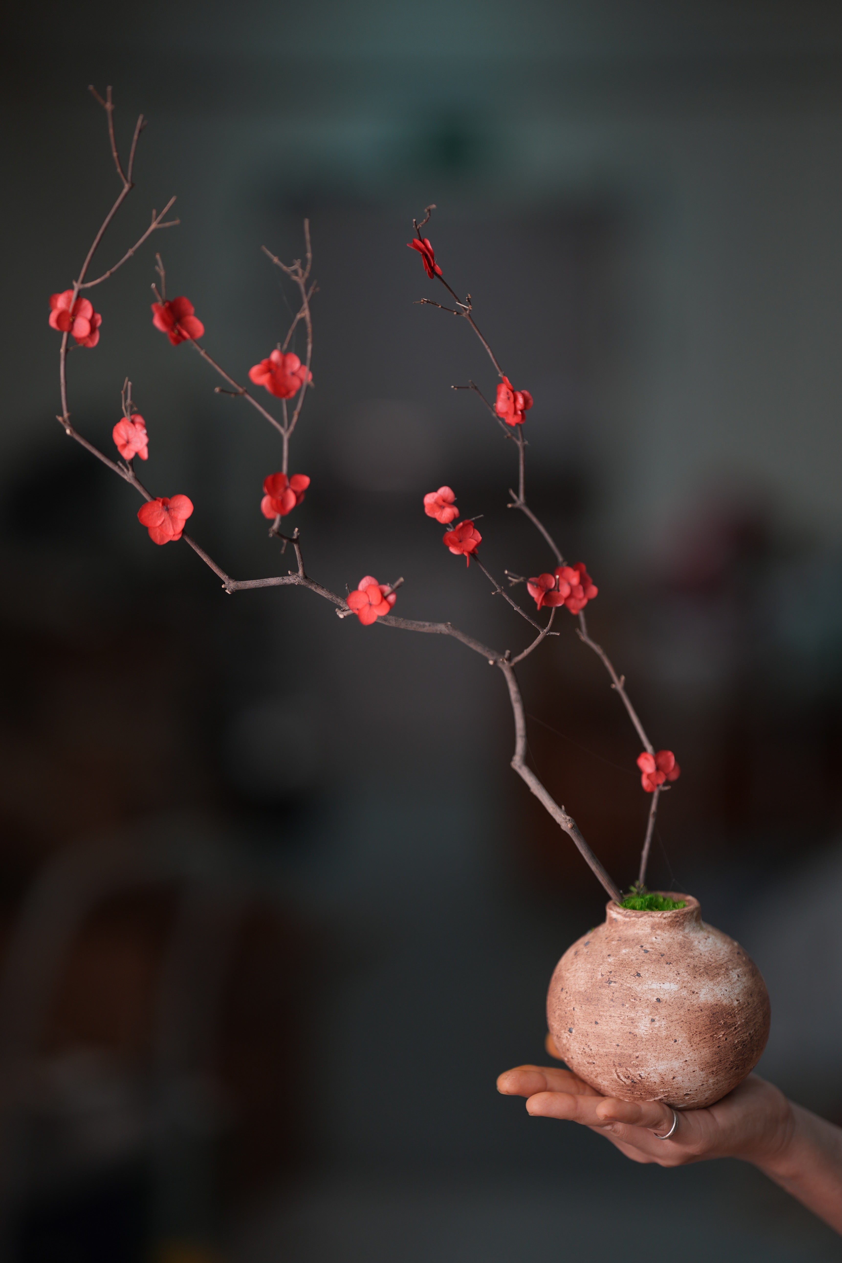 Slow Wood - The Journey (Preserved Plants)