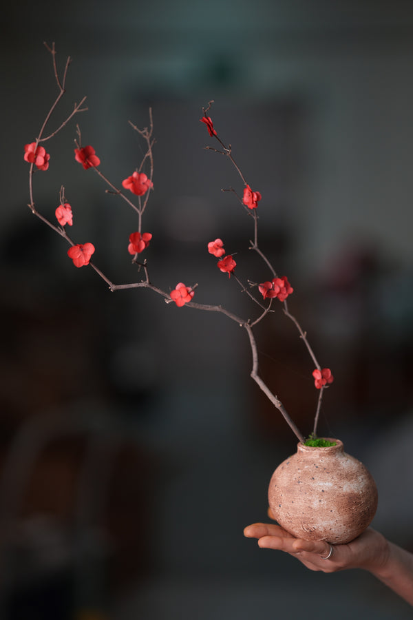 Slow Wood - The Journey (Preserved Plants)