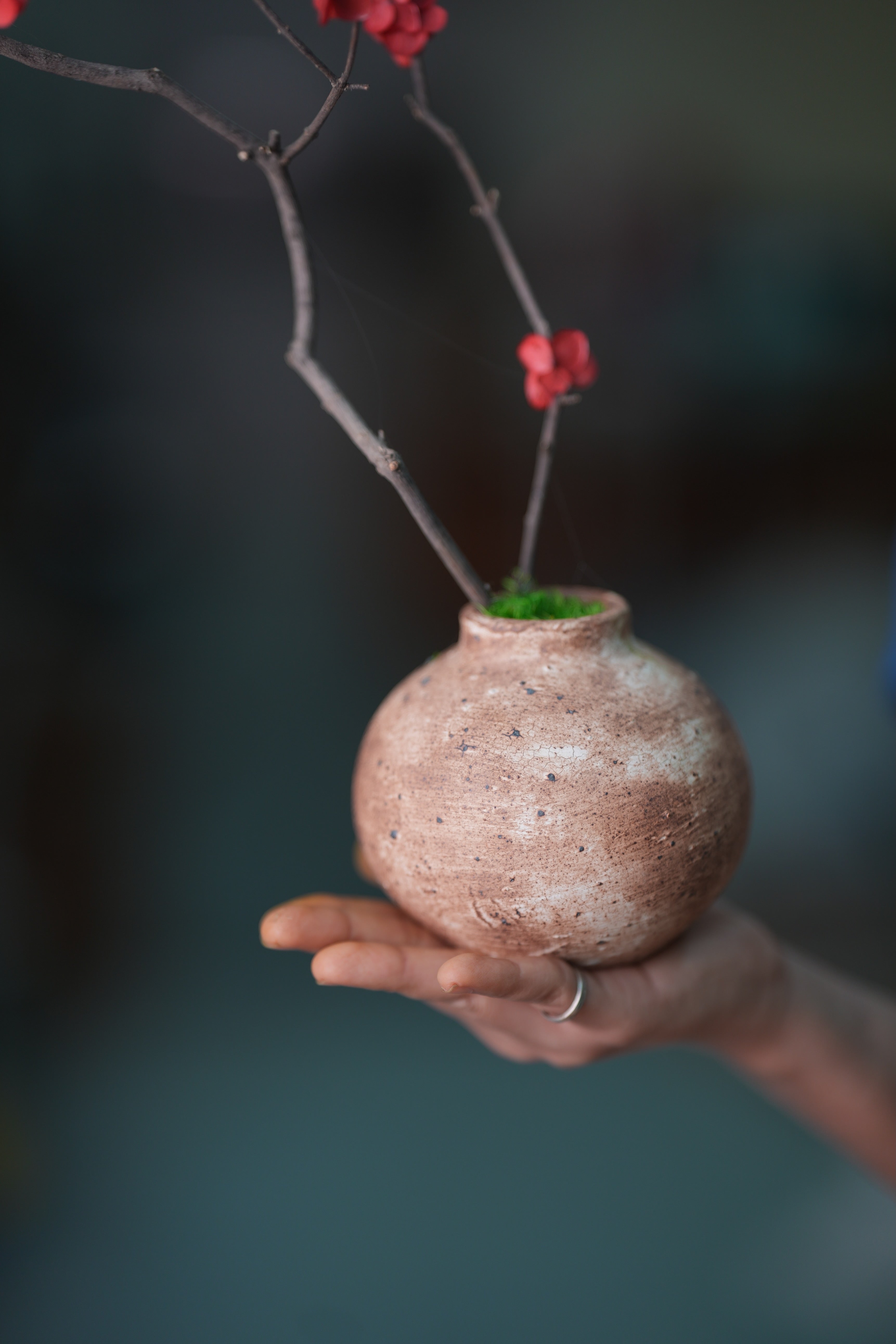 Slow Wood - The Journey (Preserved Plants)