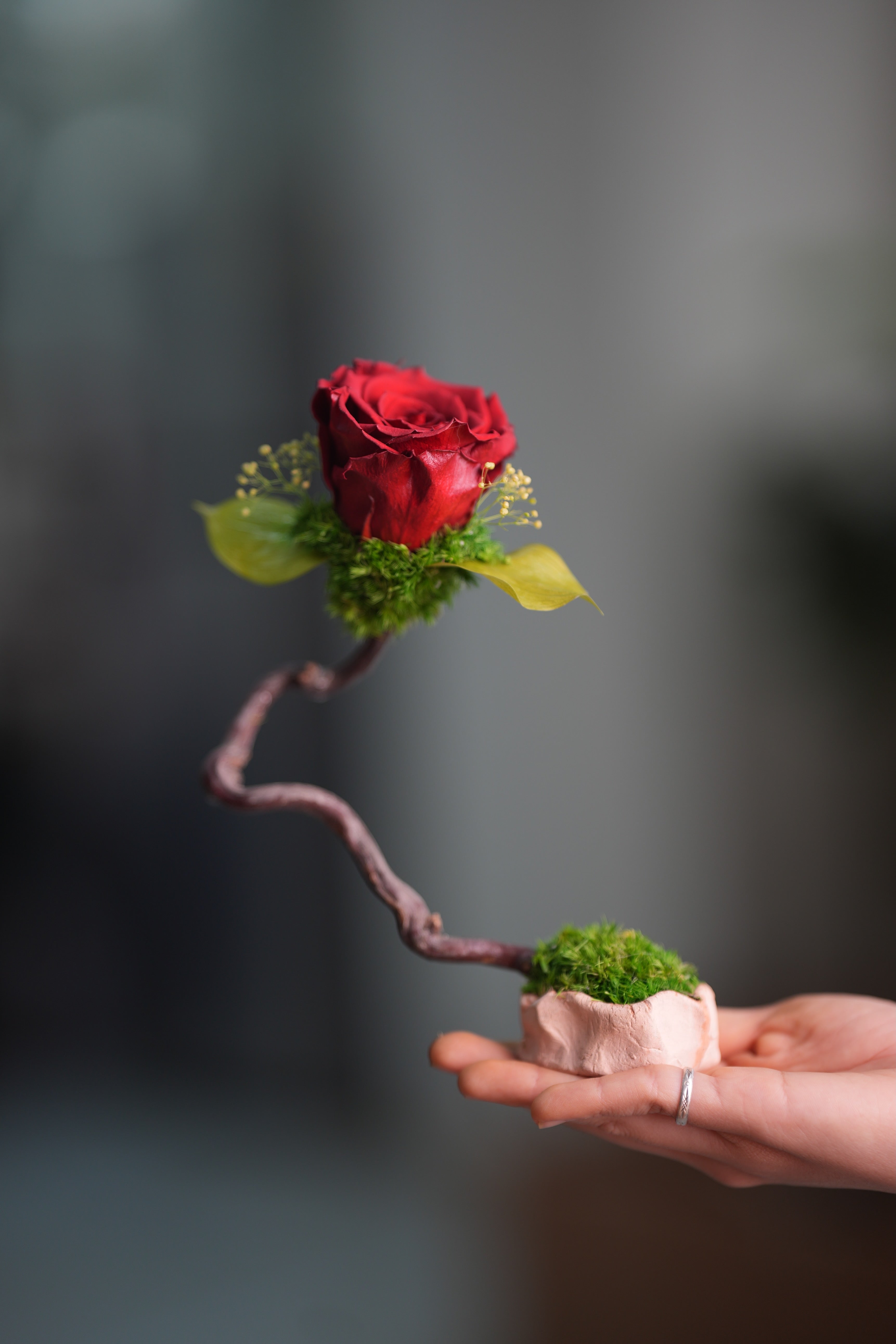 Children of the Forest - Jupiter (Preserved Plants)