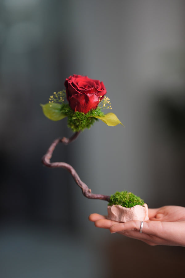 Children of the Forest - Jupiter (Preserved Plants)