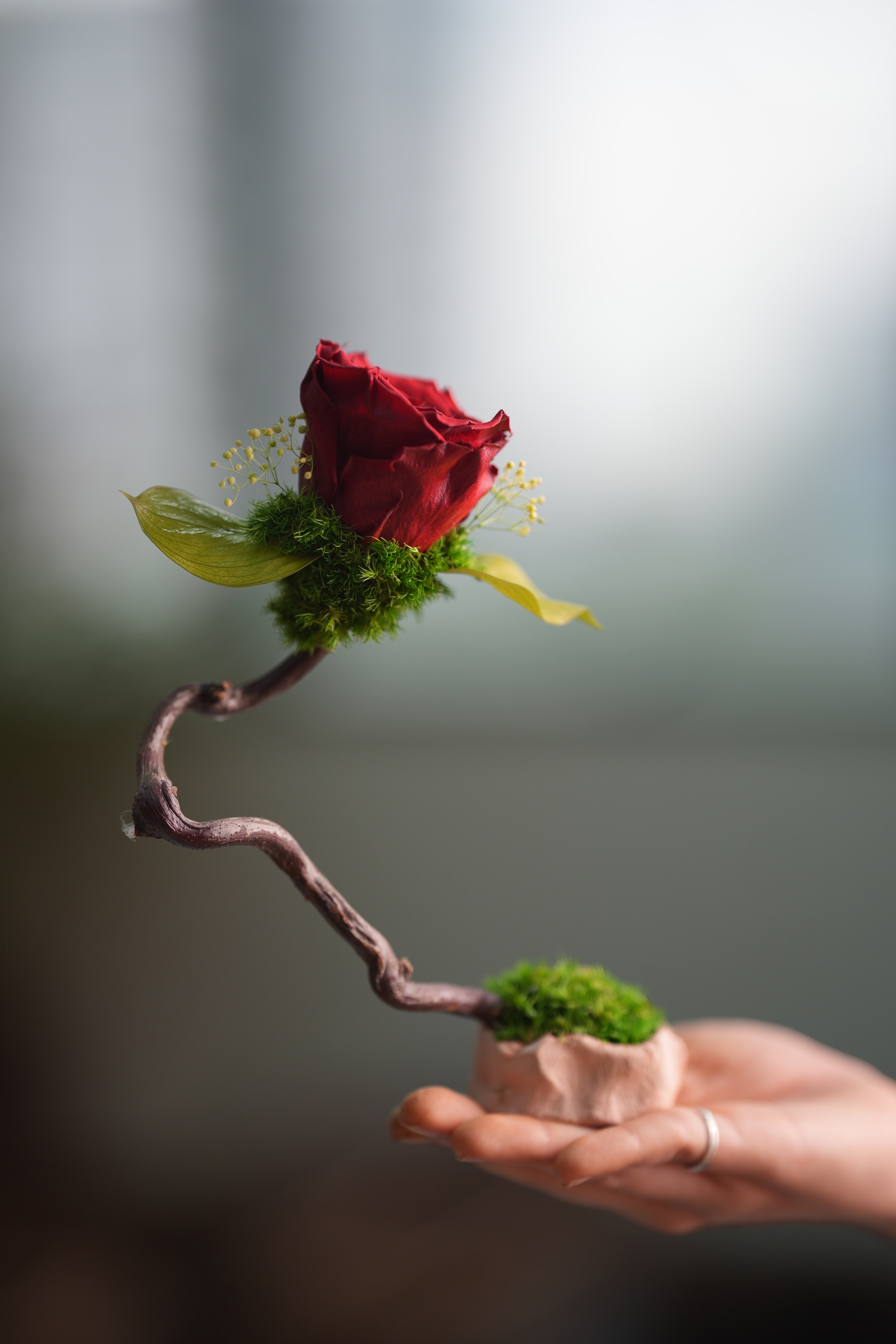 Children of the Forest - Jupiter (Preserved Plants)