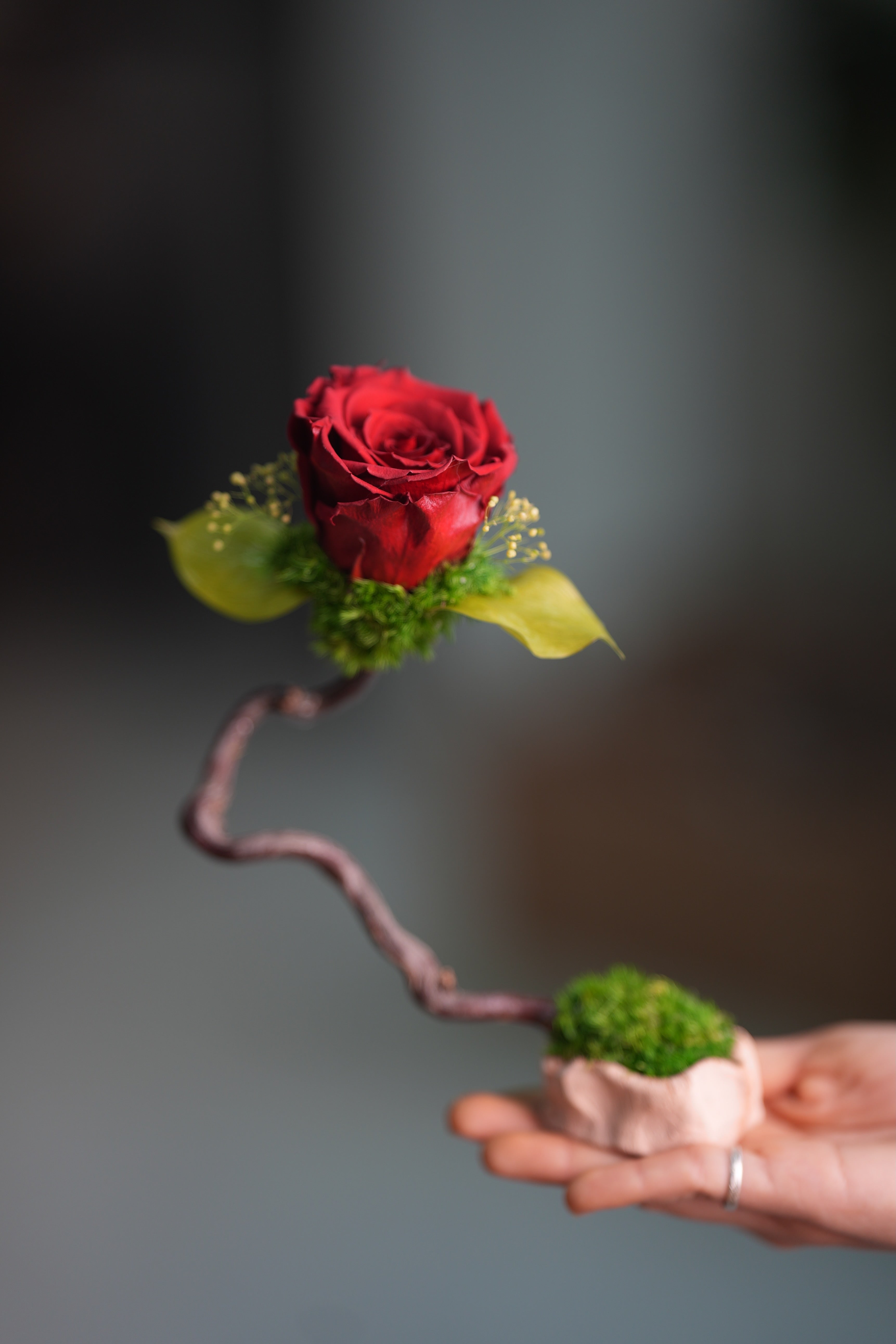 Children of the Forest - Jupiter (Preserved Plants)