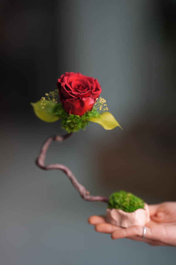 Children of the Forest - Jupiter (Preserved Plants)