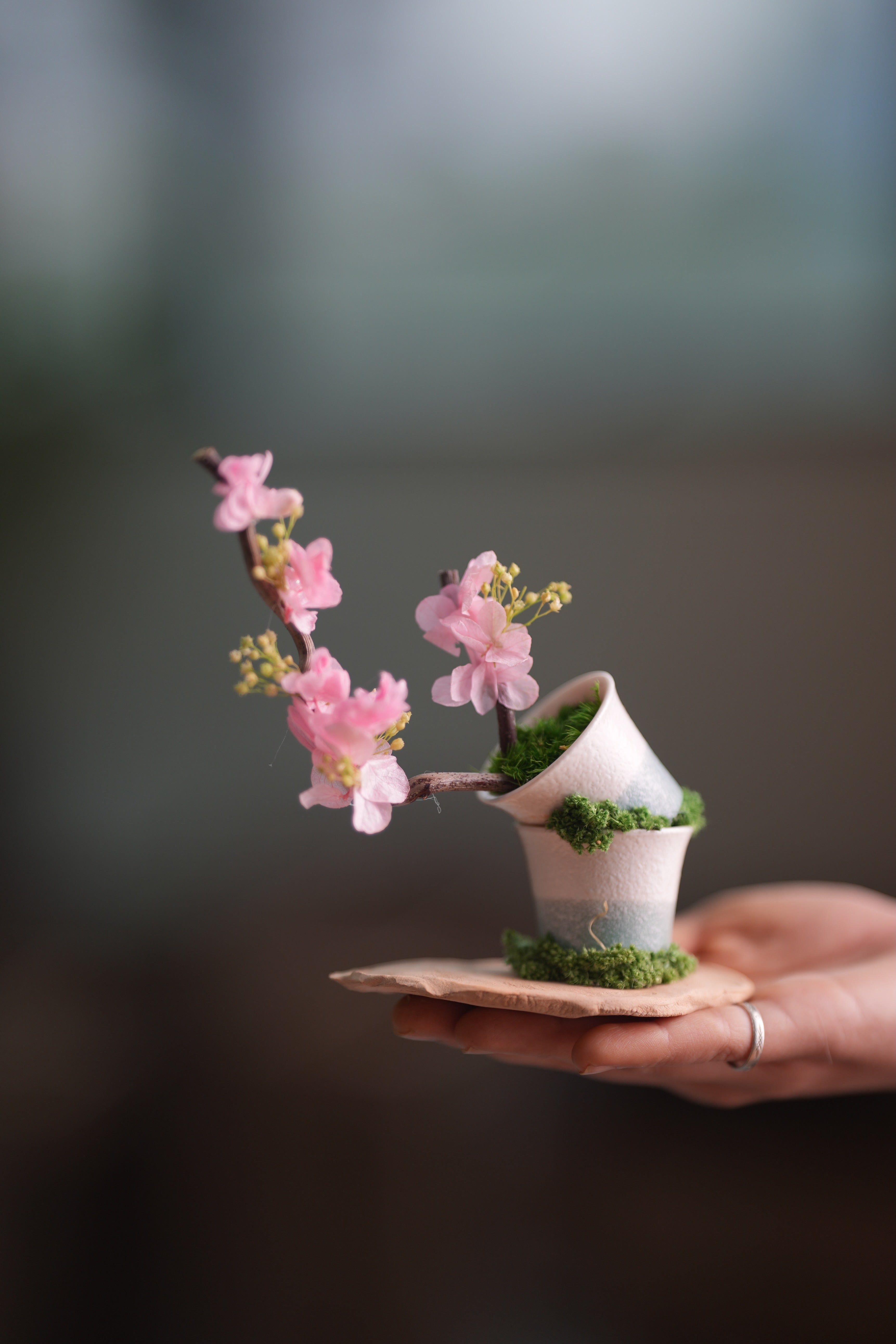 Children of the Forest - The Journey edition (Preserved Plants)