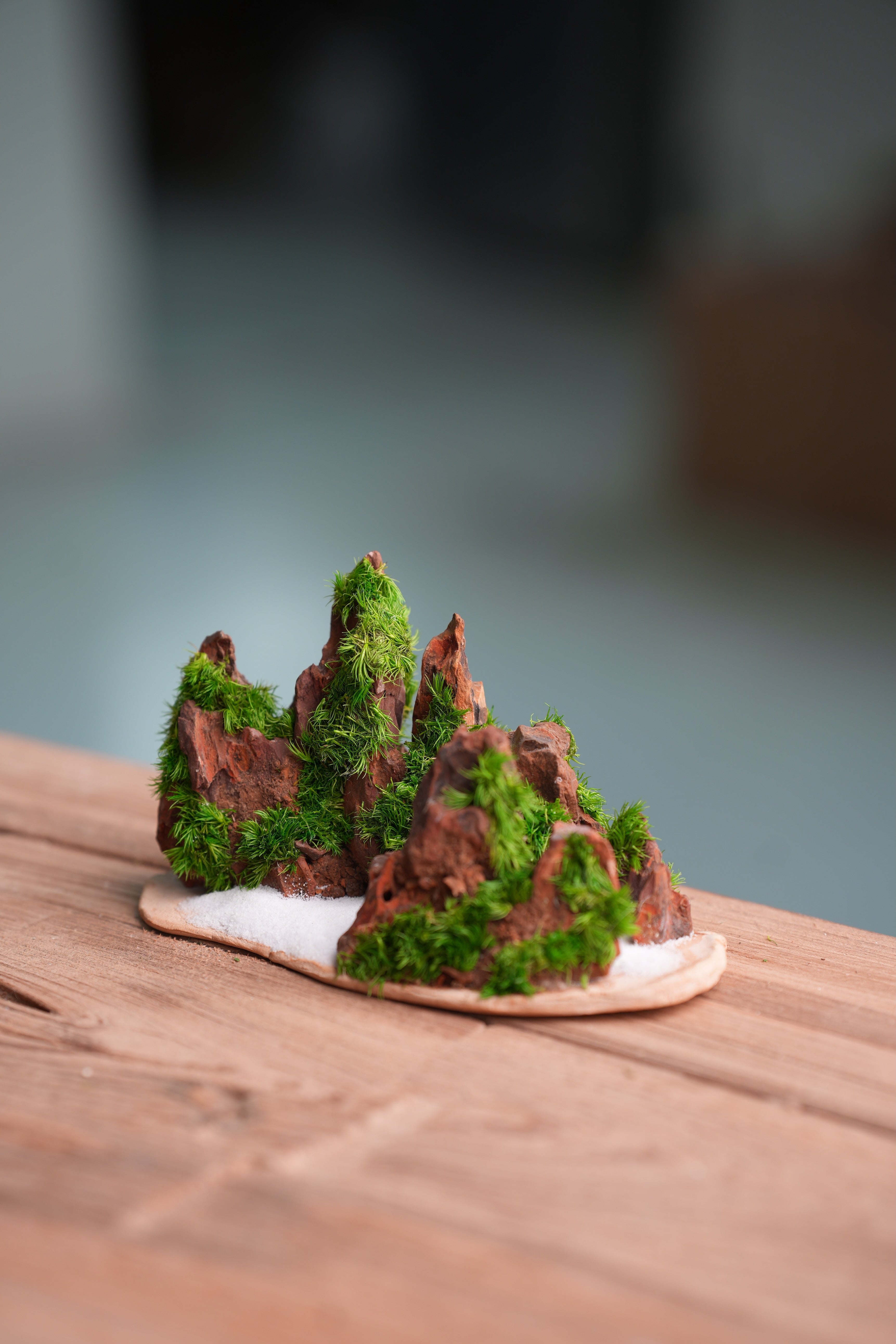 Angel's Landing - Winter Valley - Smaller version (Preserved Plants)