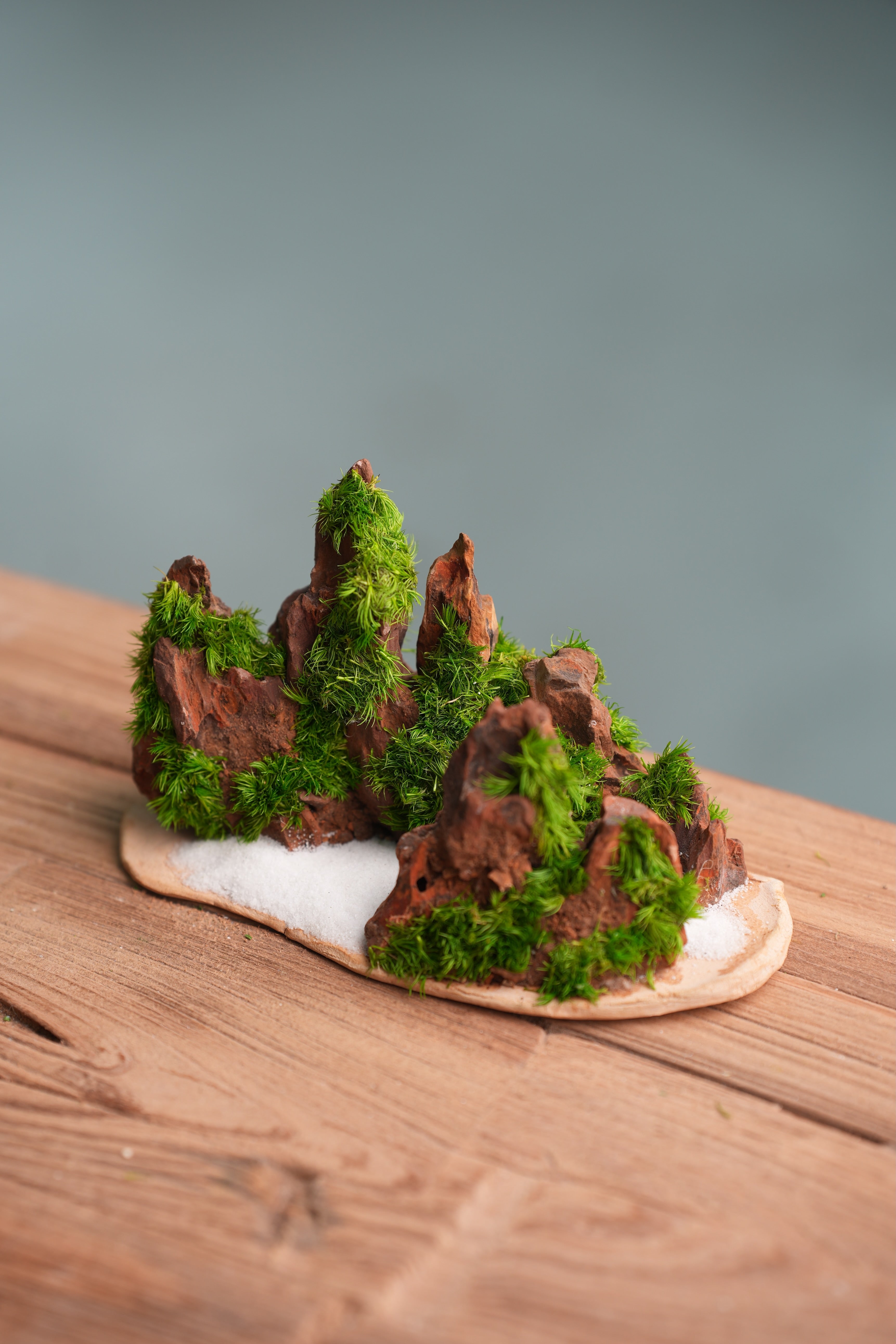 Angel's Landing - Winter Valley - Smaller version (Preserved Plants)