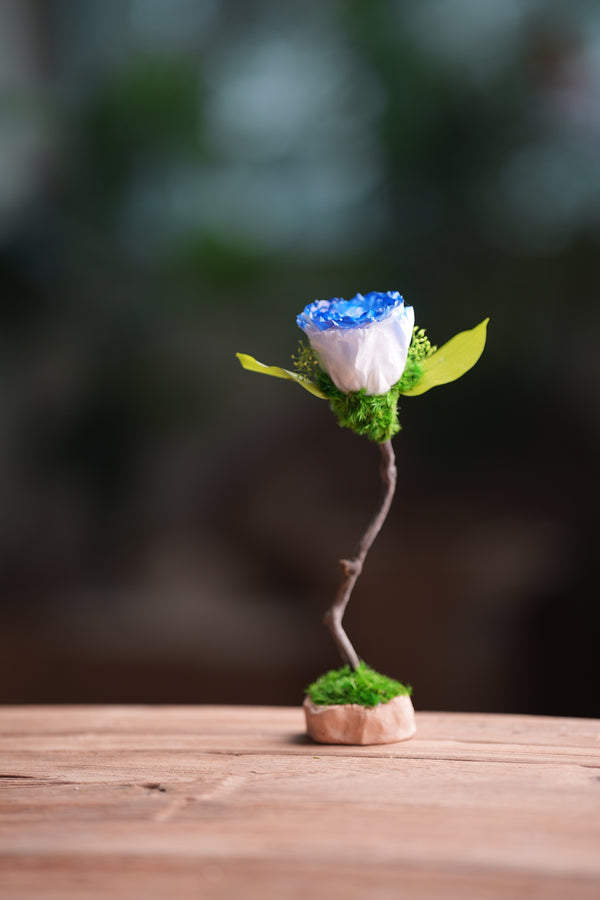 Children of the Forest - Jupiter - Blue Dream (Preserved Plants)