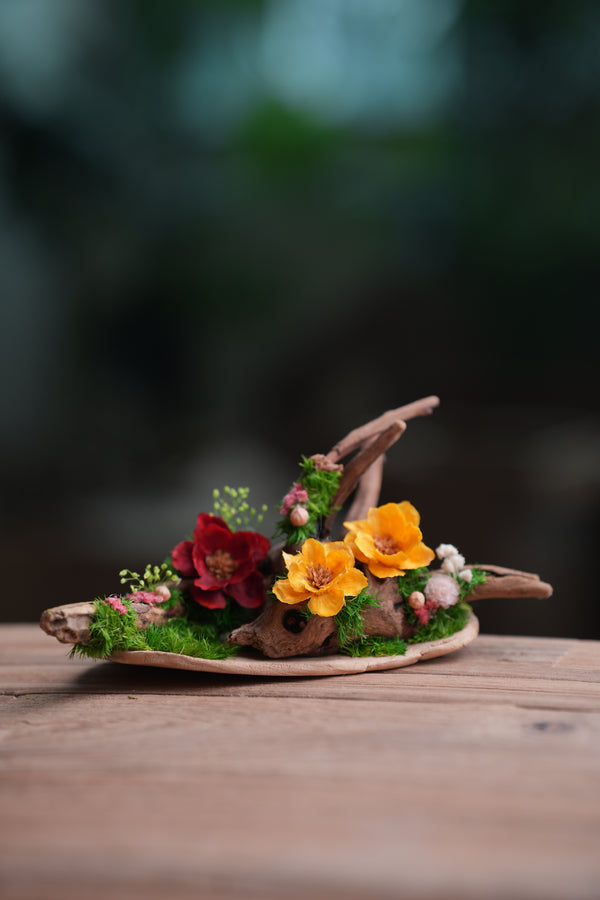 Children of the Forest - Driftwood (Preserved Plants)