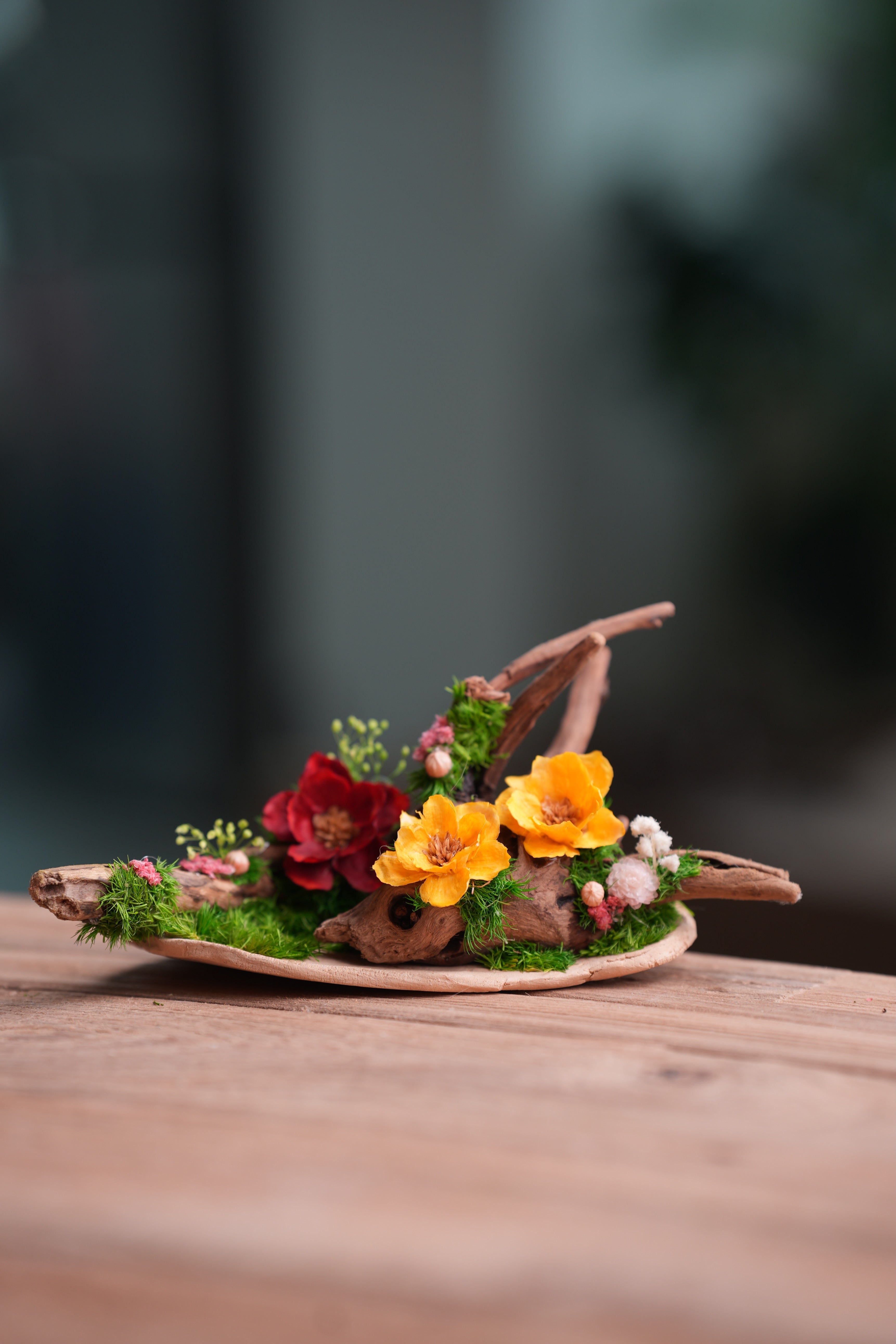 Children of the Forest - Driftwood (Preserved Plants)