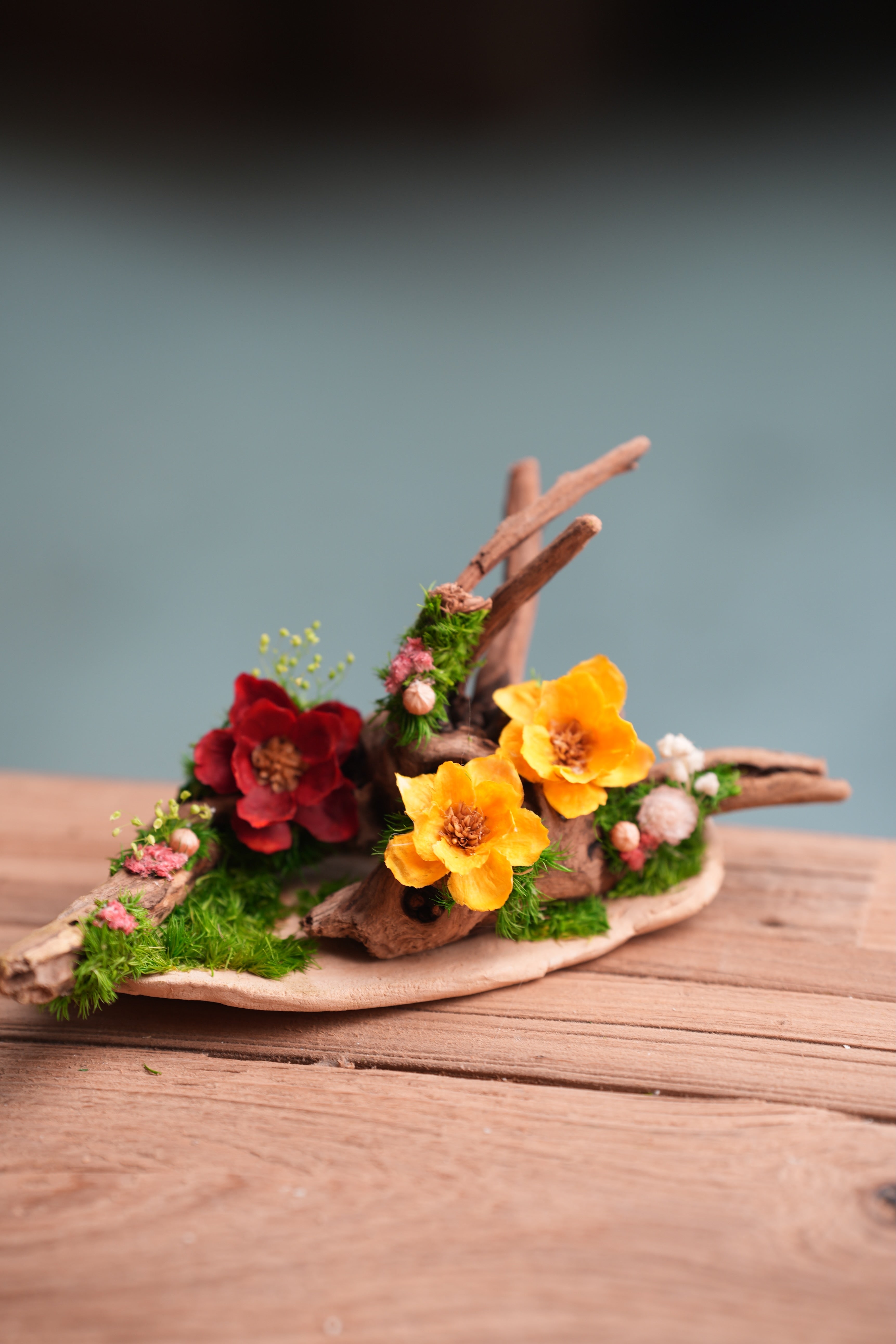 Children of the Forest - Driftwood (Preserved Plants)